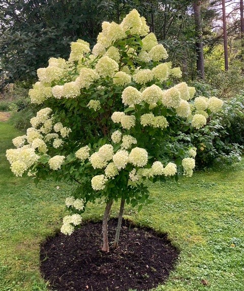 Bostadsbild från Söderby 76, Såld i Öregrund, Östhammar