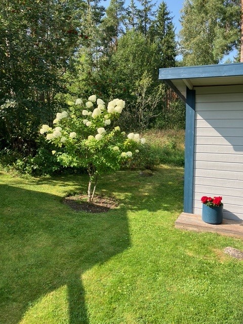 Bostadsbild från Söderby 76, Kommande i Öregrund, Östhammar