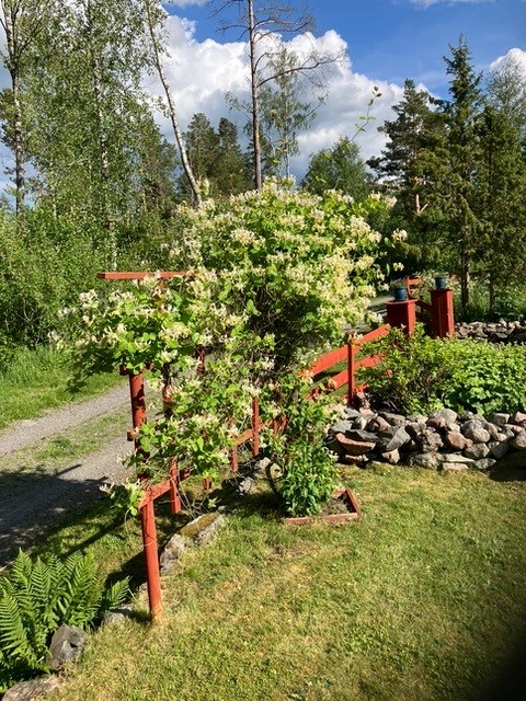 Bostadsbild från Söderby 76, Kommande i Öregrund, Östhammar