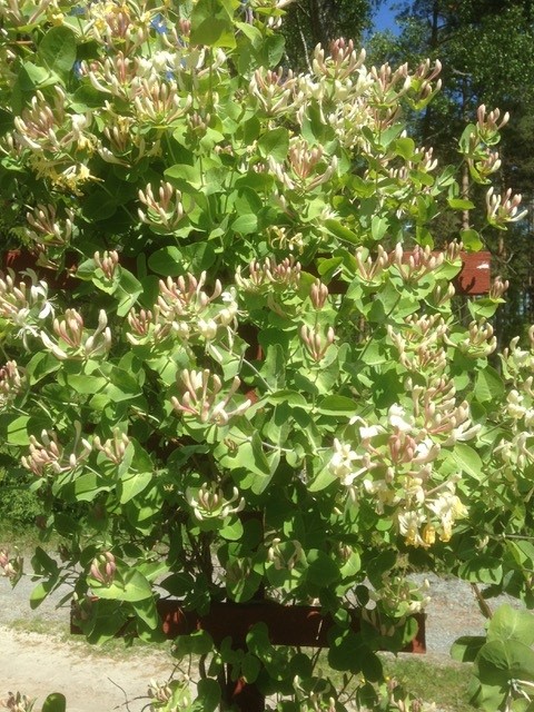 Bostadsbild från Söderby 76, Såld i Öregrund, Östhammar