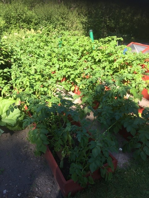 Bostadsbild från Söderby 76, Kommande i Öregrund, Östhammar