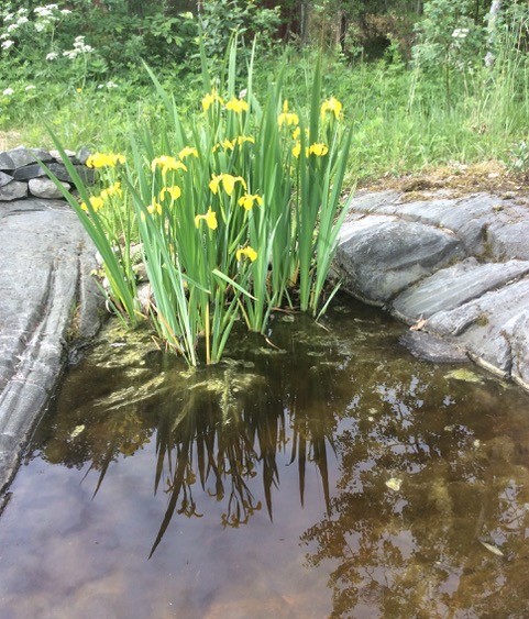 Bostadsbild från Söderby 76, Såld i Öregrund, Östhammar