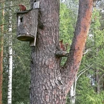 Bostadsbild från Söderby 76, Kommande i Öregrund, Östhammar