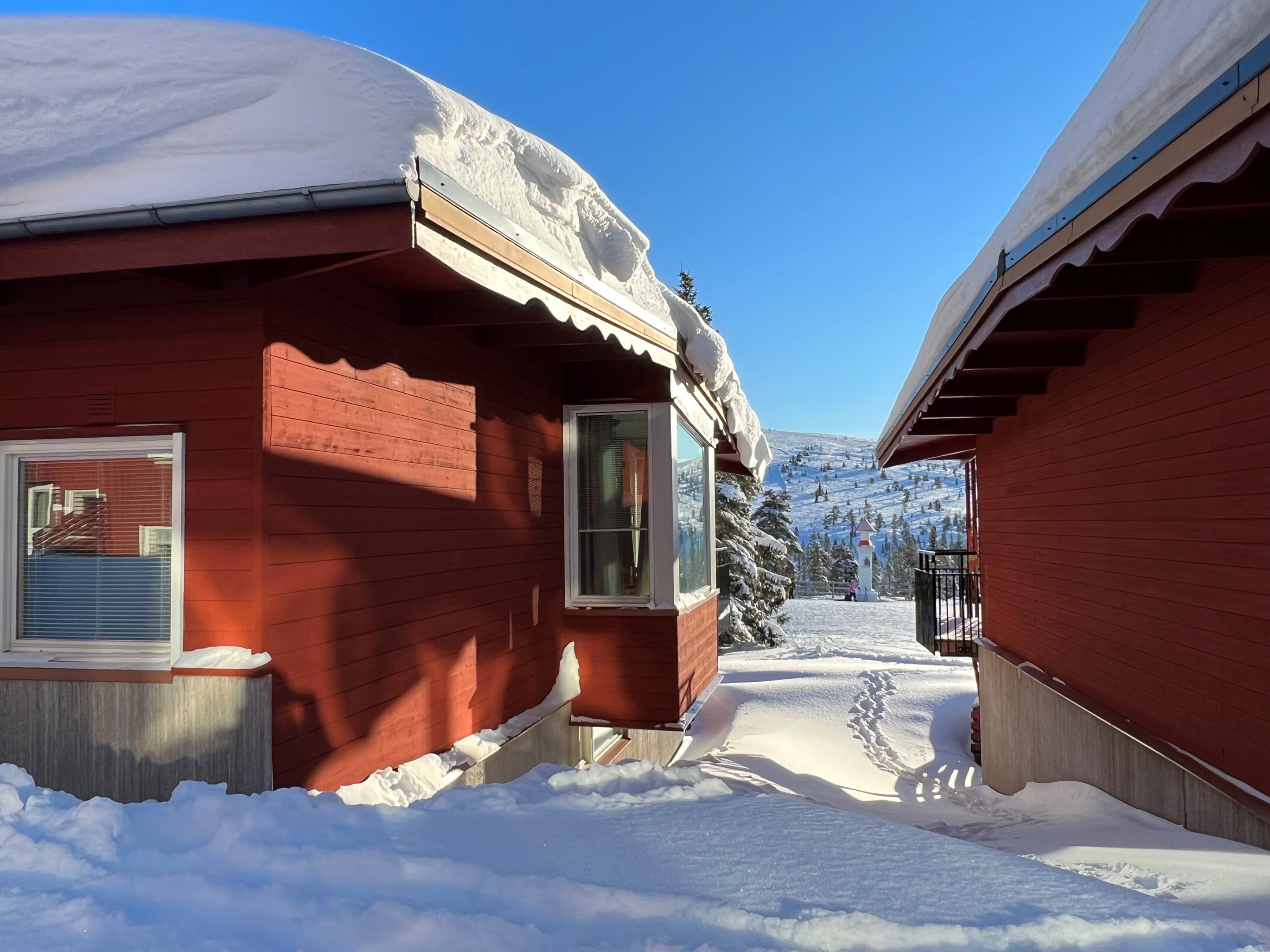 Rahuse mot backen