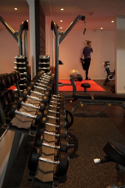 Högis-gym