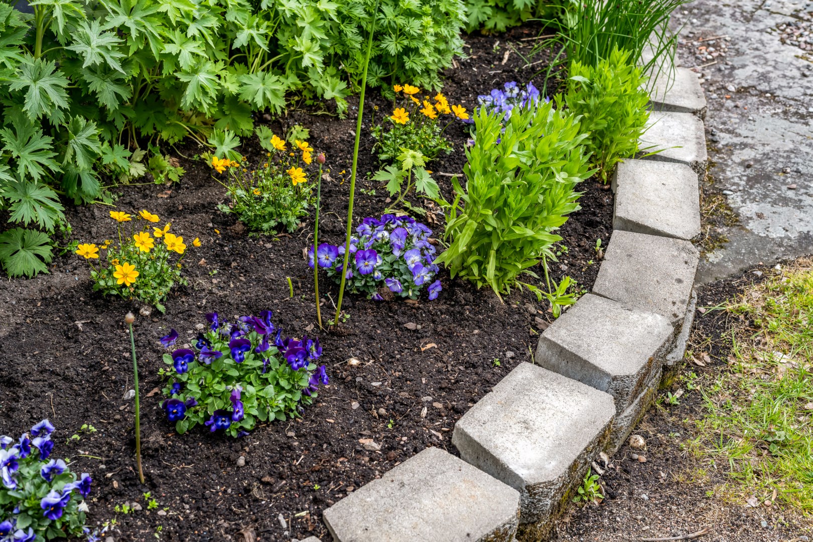 Bostadsbild från Östra Dalgången 1, Såld i Nolsterby strand, Östhammar