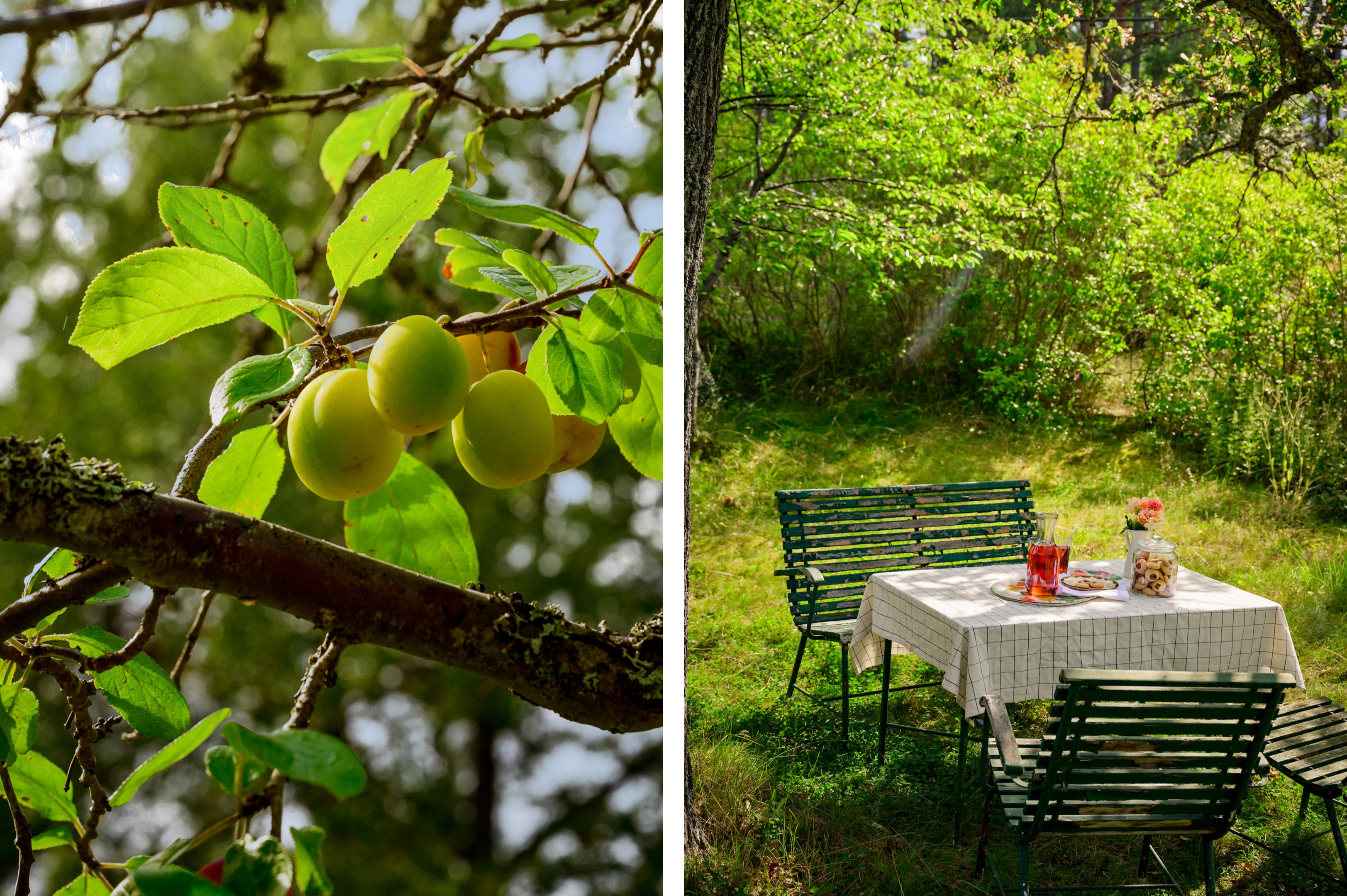 Promenadavstånd till såväl bad som Tynningöfärjan.