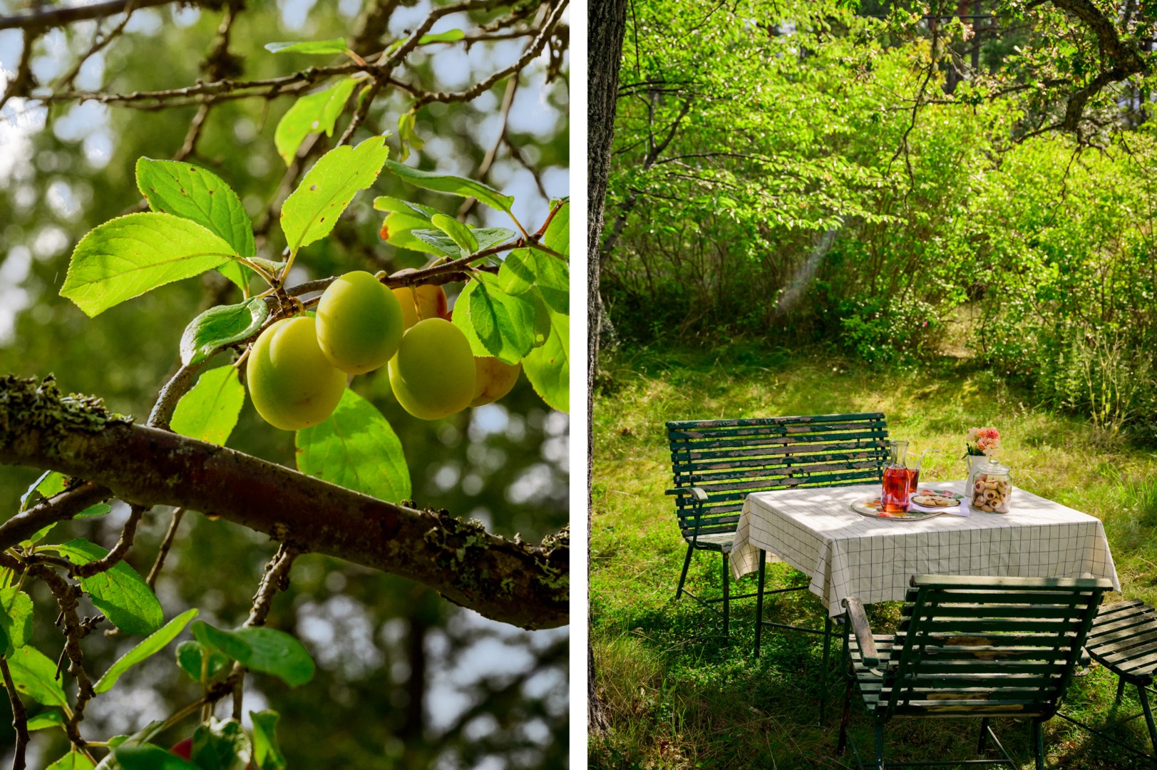 Promenadavstånd till såväl bad som Tynningöfärjan.