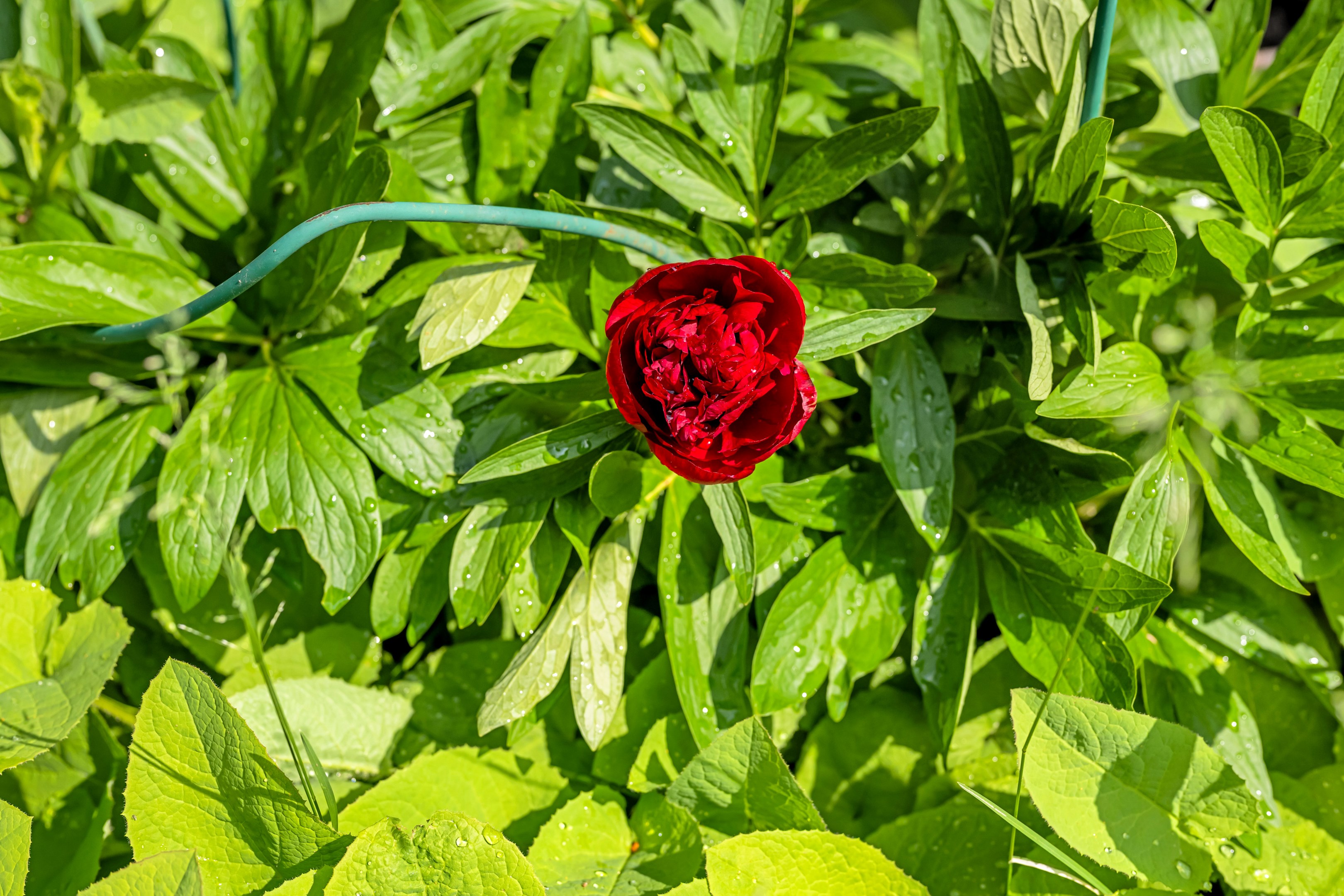 Bostadsbild från Slingervägen 3, Såld i Järlåsa, Uppsala