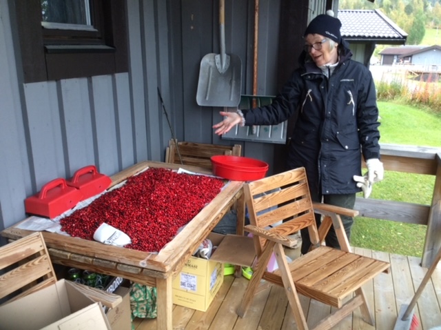 Tillbaka till naturen