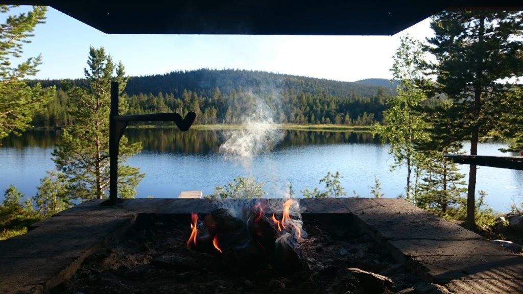Tillbaka till naturen