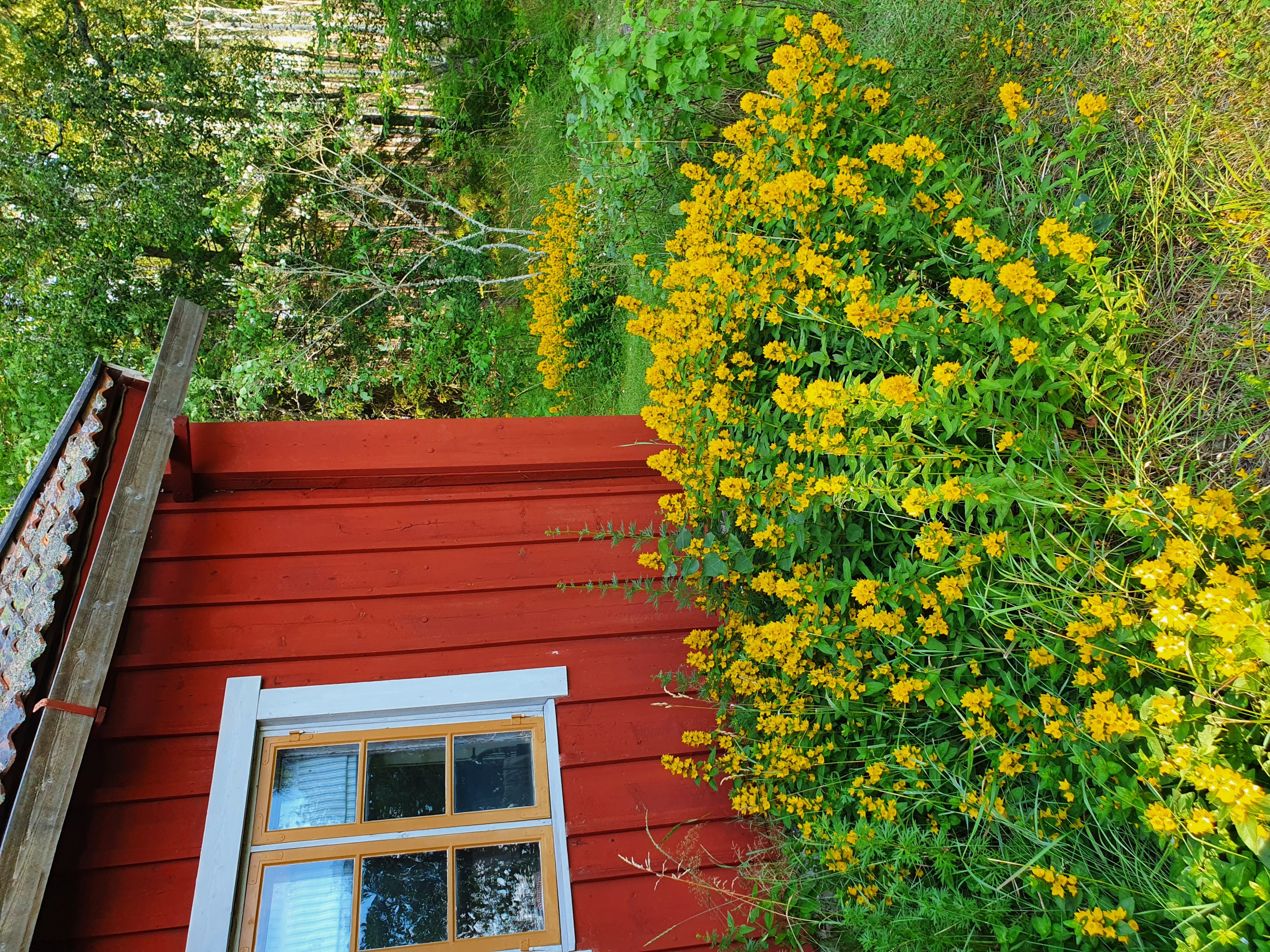 Bostadsbild från Altomta 52, Såld i Vattholma, Uppsala