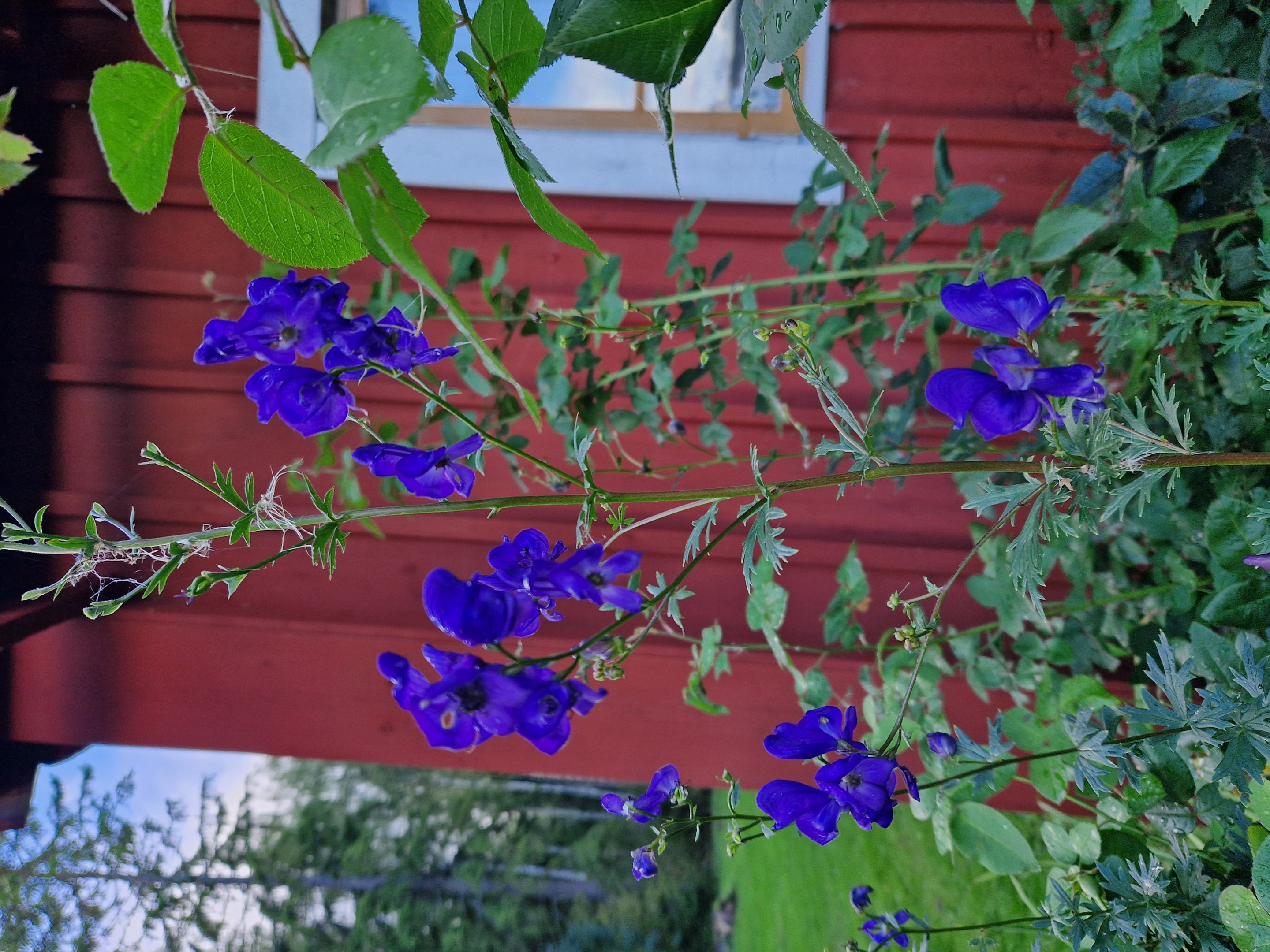 Bostadsbild från Altomta 52, Såld i Vattholma, Uppsala