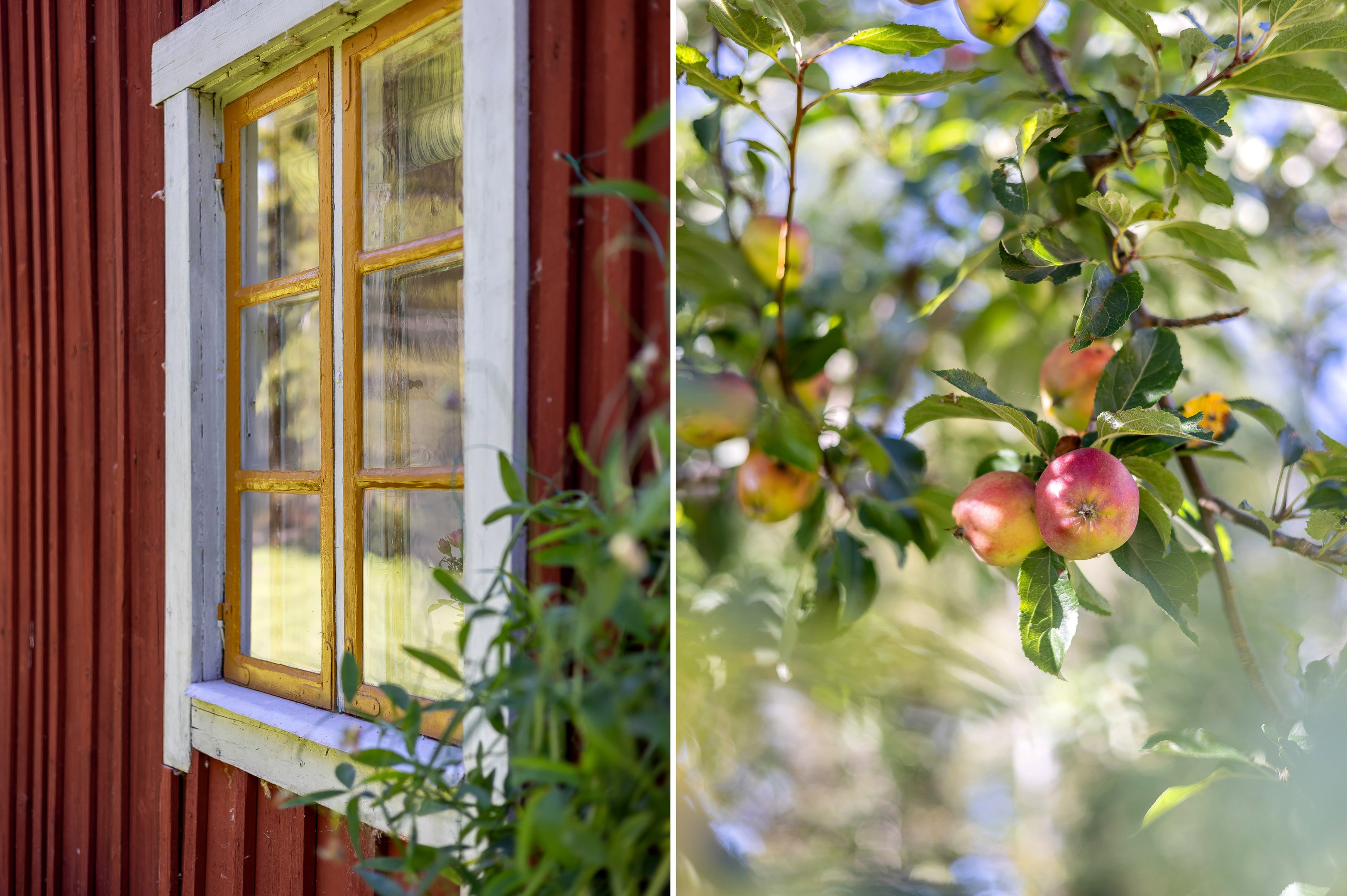 Bostadsbild från Altomta 52, Såld i Vattholma, Uppsala