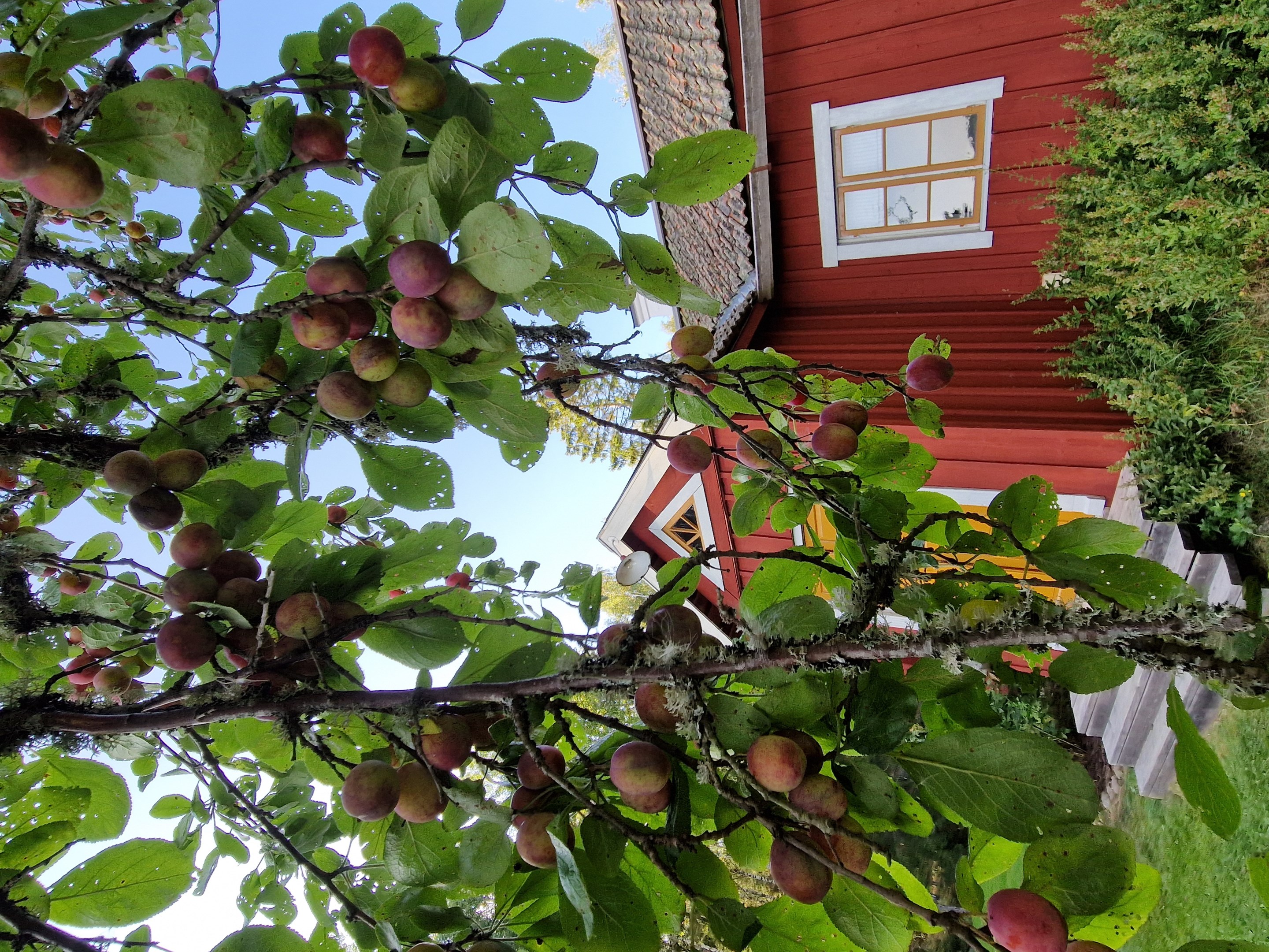 Bostadsbild från Altomta 52, Såld i Vattholma, Uppsala