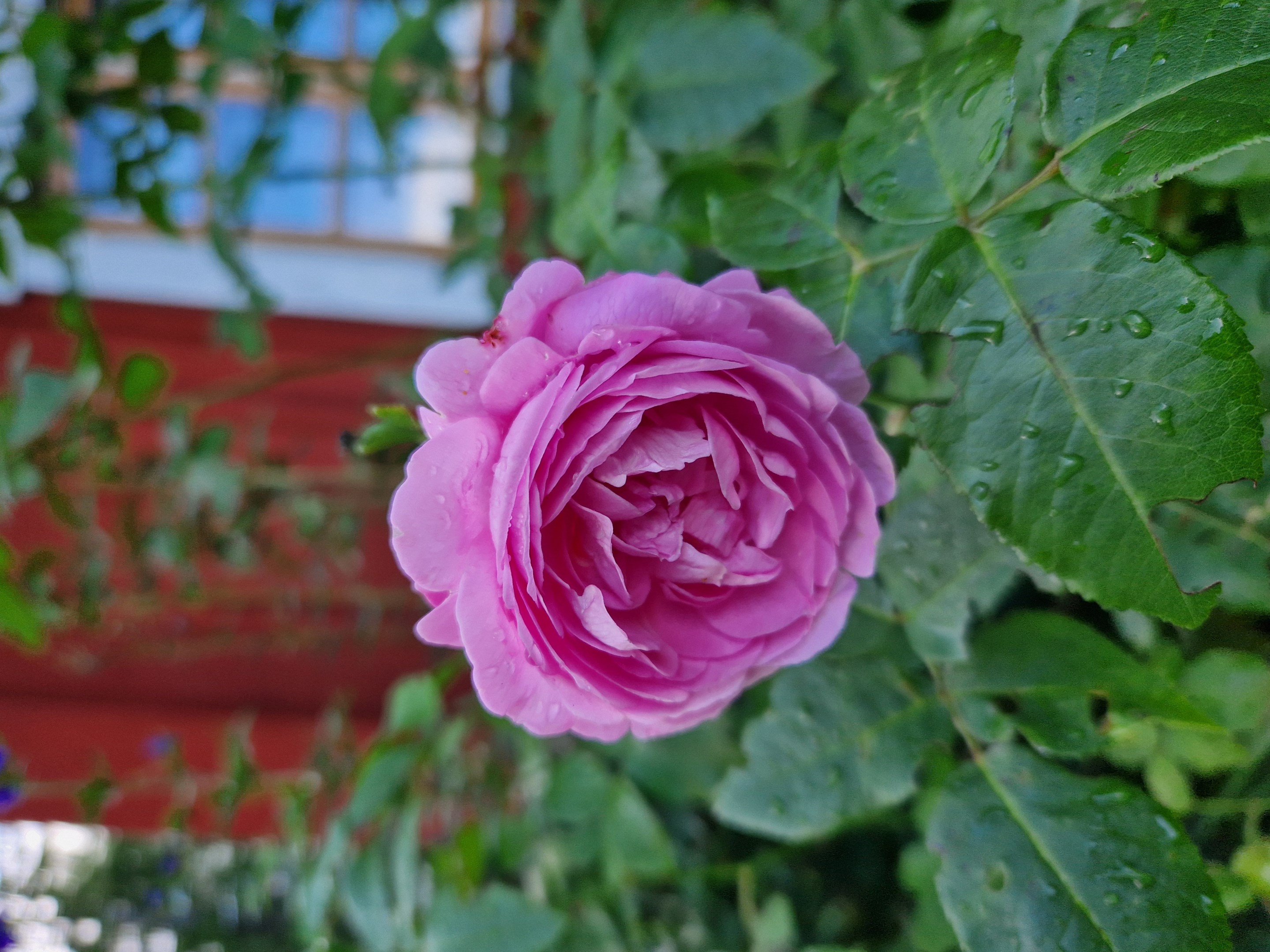 Bostadsbild från Altomta 52, Såld i Vattholma, Uppsala