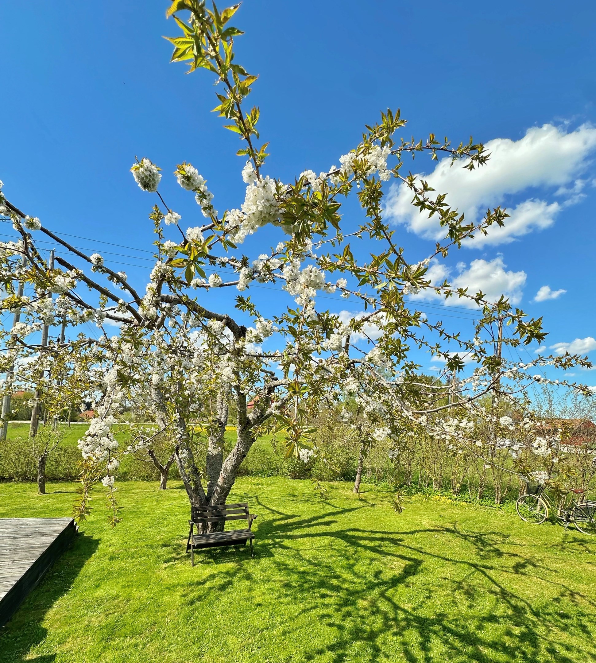 Bostadsbild från Husabyvägen 13 (Husbyborg koloniförening lott 13), Kommande i Husbyborg, Uppsala