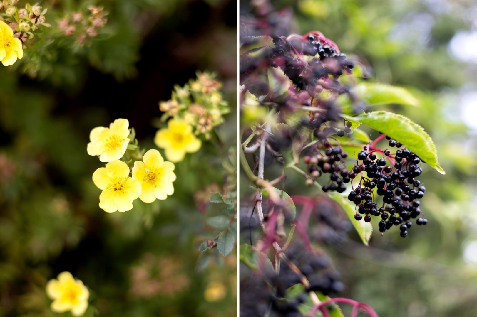Bostadsbild från Västeråkers-Björk 86, Kommande i Västeråker, Uppsala