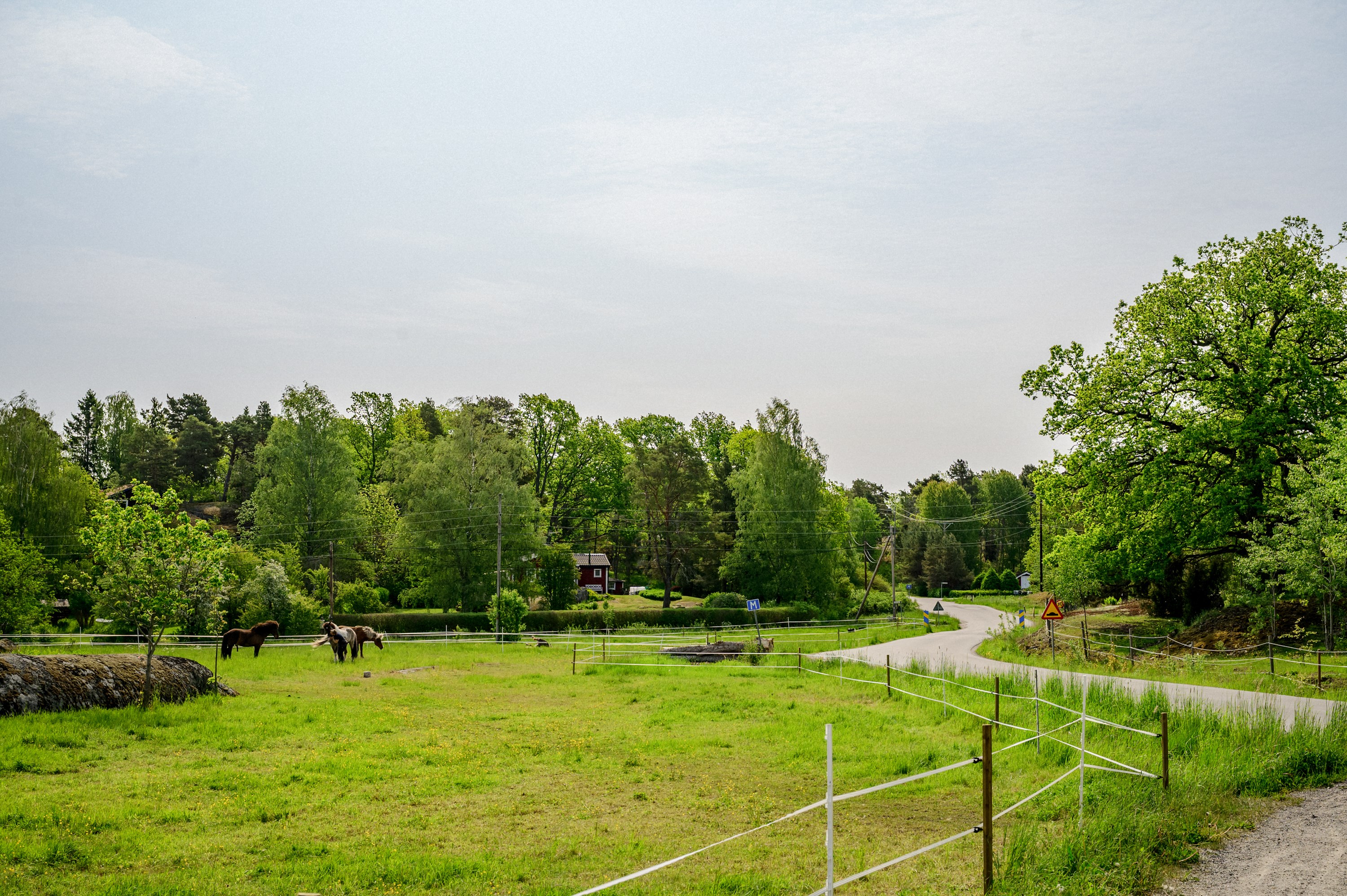 Gott om vackra promenadstråk i området.