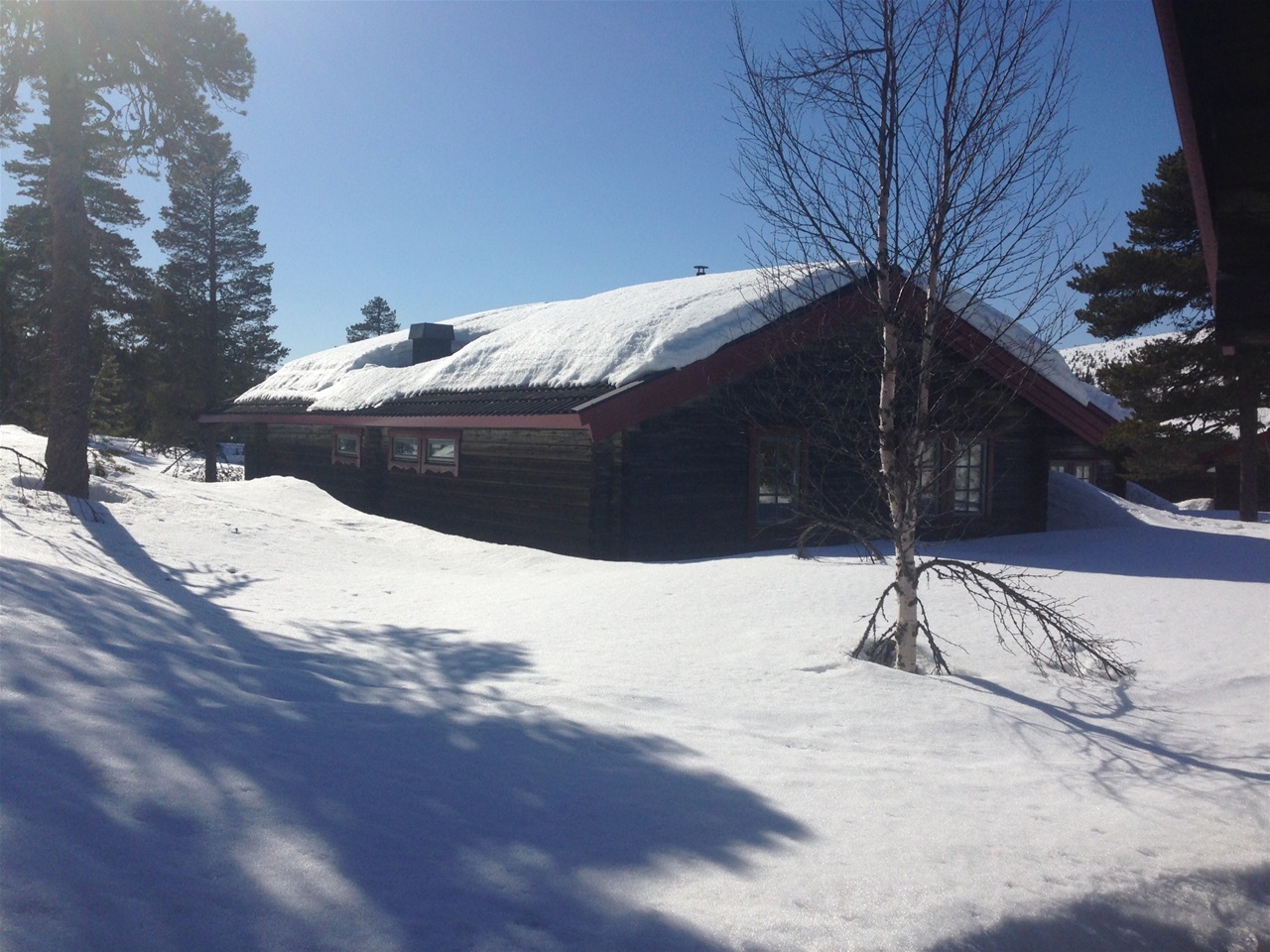 32.Hållbar fjällstuga