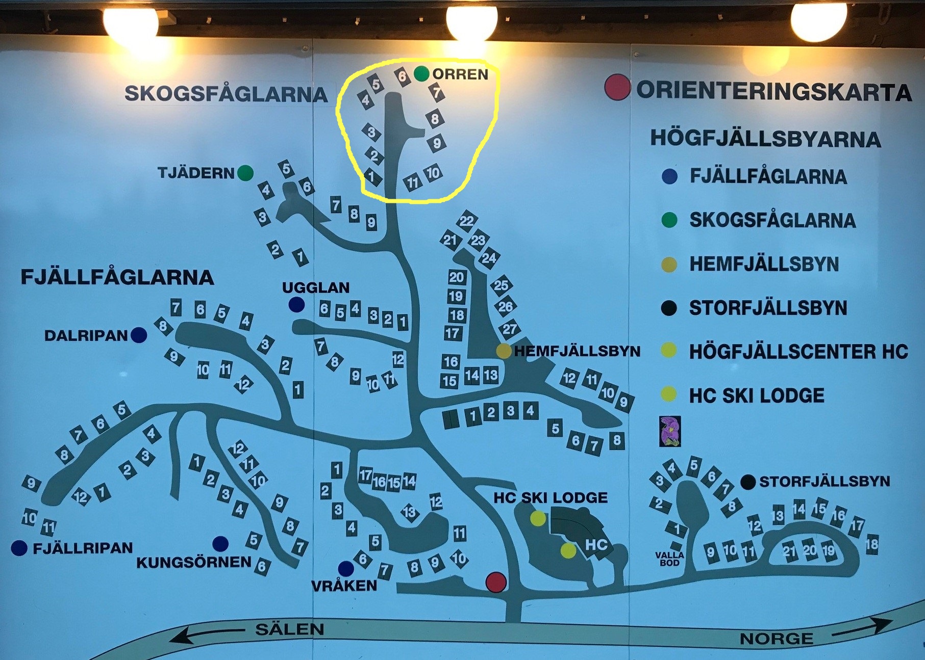 ORIENTERINGSKARTA ORREN SKOGSFÅGLARNA