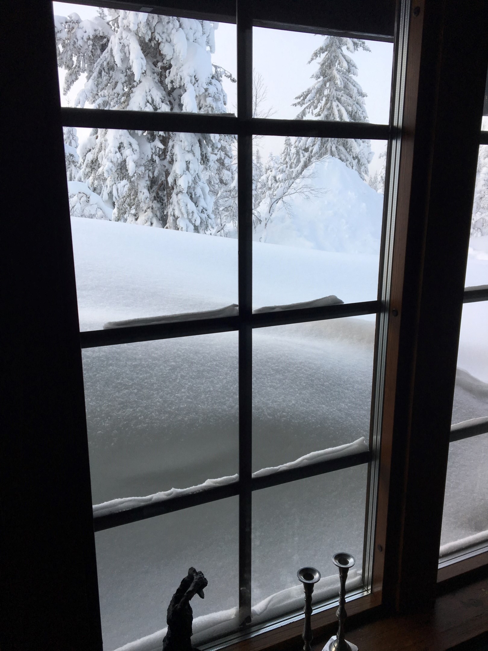 Fridfull plats även när vinden viner