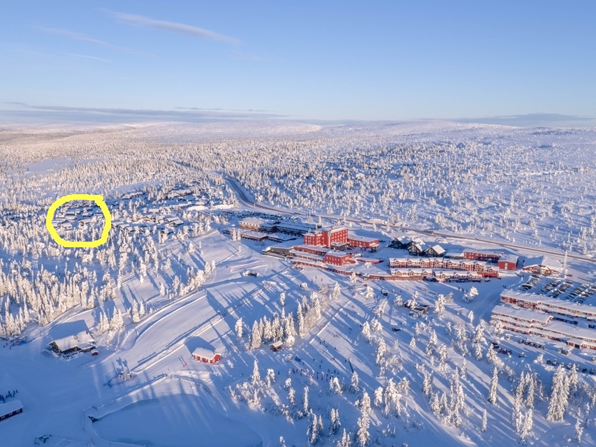 Orren markerat med gul ring