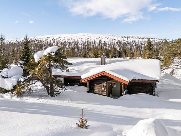 Skogsfåglarna miljöbild