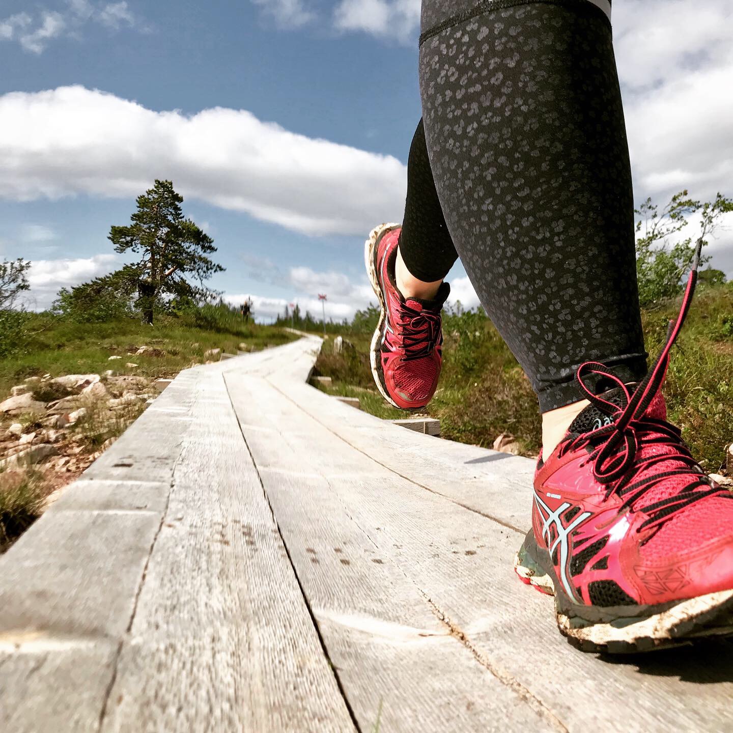 Fjällvandring ger frisk luft, starkare kondition och nya krafter – en energikick för både kropp och