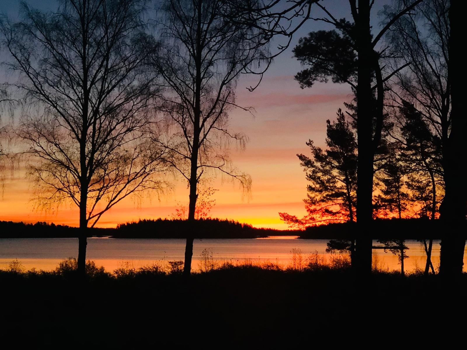 Bostadsbild från Vaden 119, Kommande i Öregrund, Östhammar