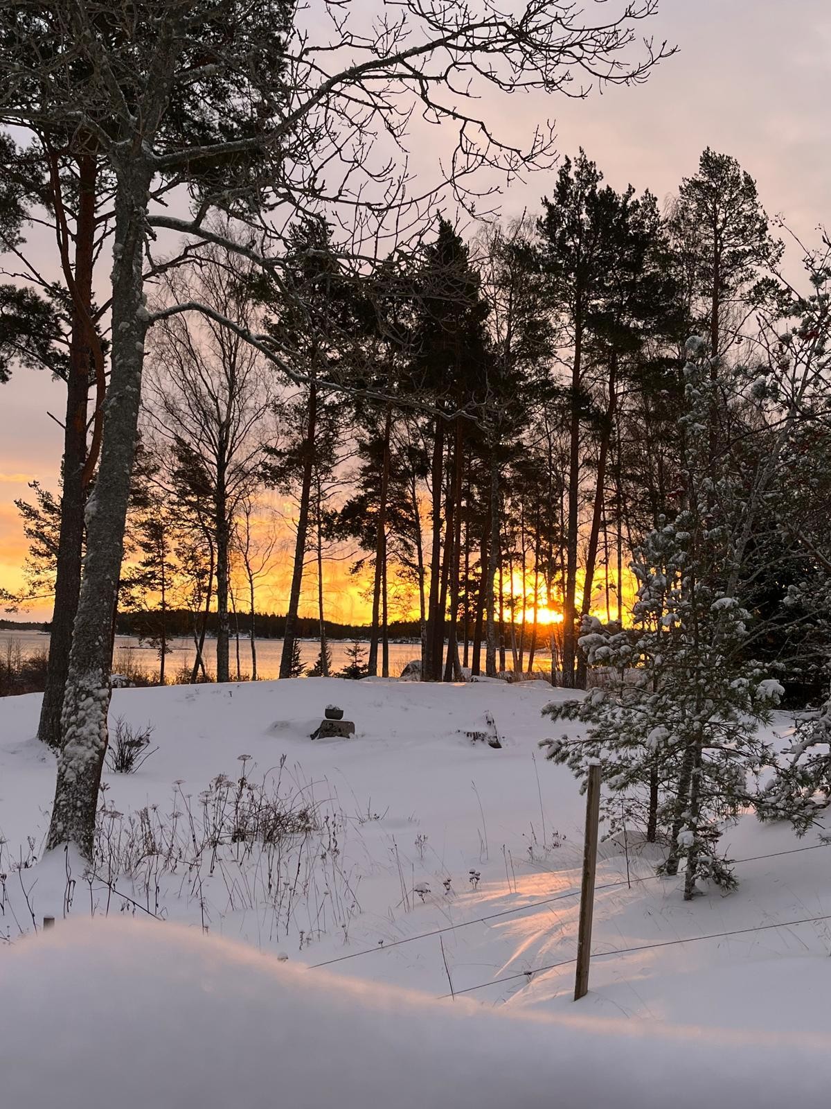 Bostadsbild från Vaden 119, Kommande i Öregrund, Östhammar