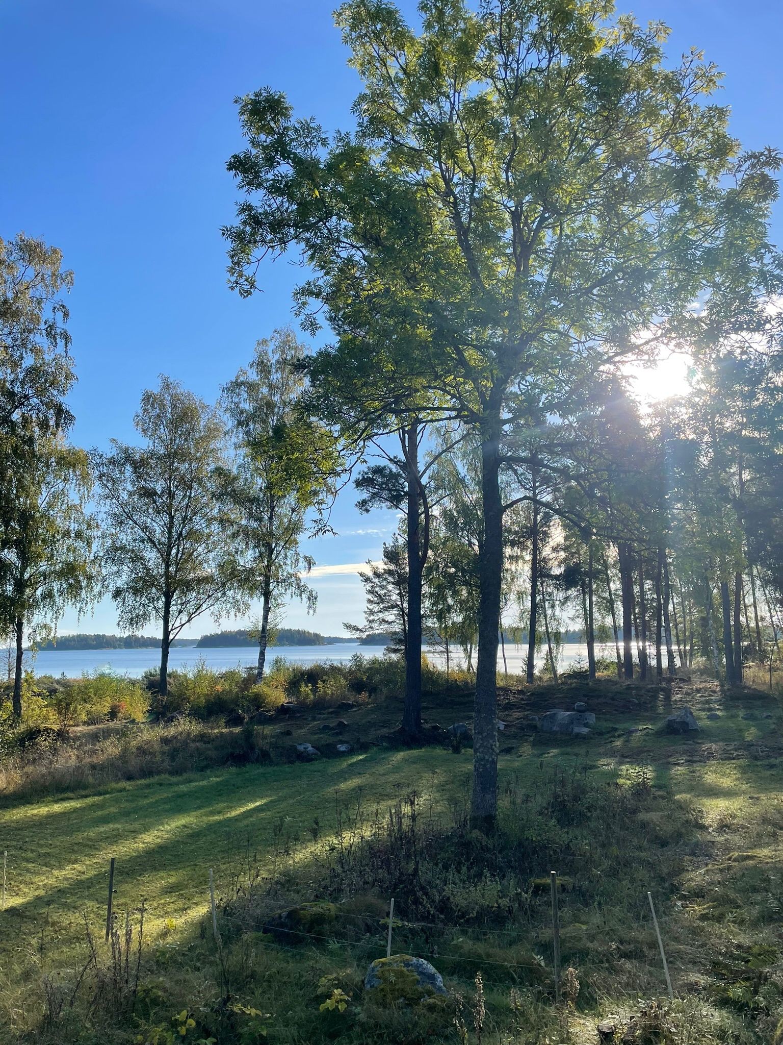 Bostadsbild från Vaden 119, Kommande i Öregrund, Östhammar