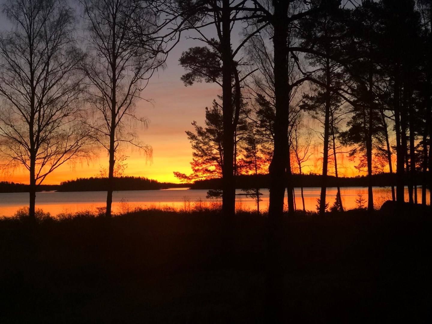 Bostadsbild från Vaden 119, Kommande i Öregrund, Östhammar