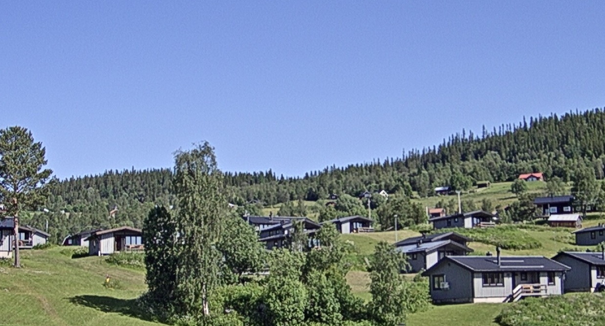 En oas uppe på fjället