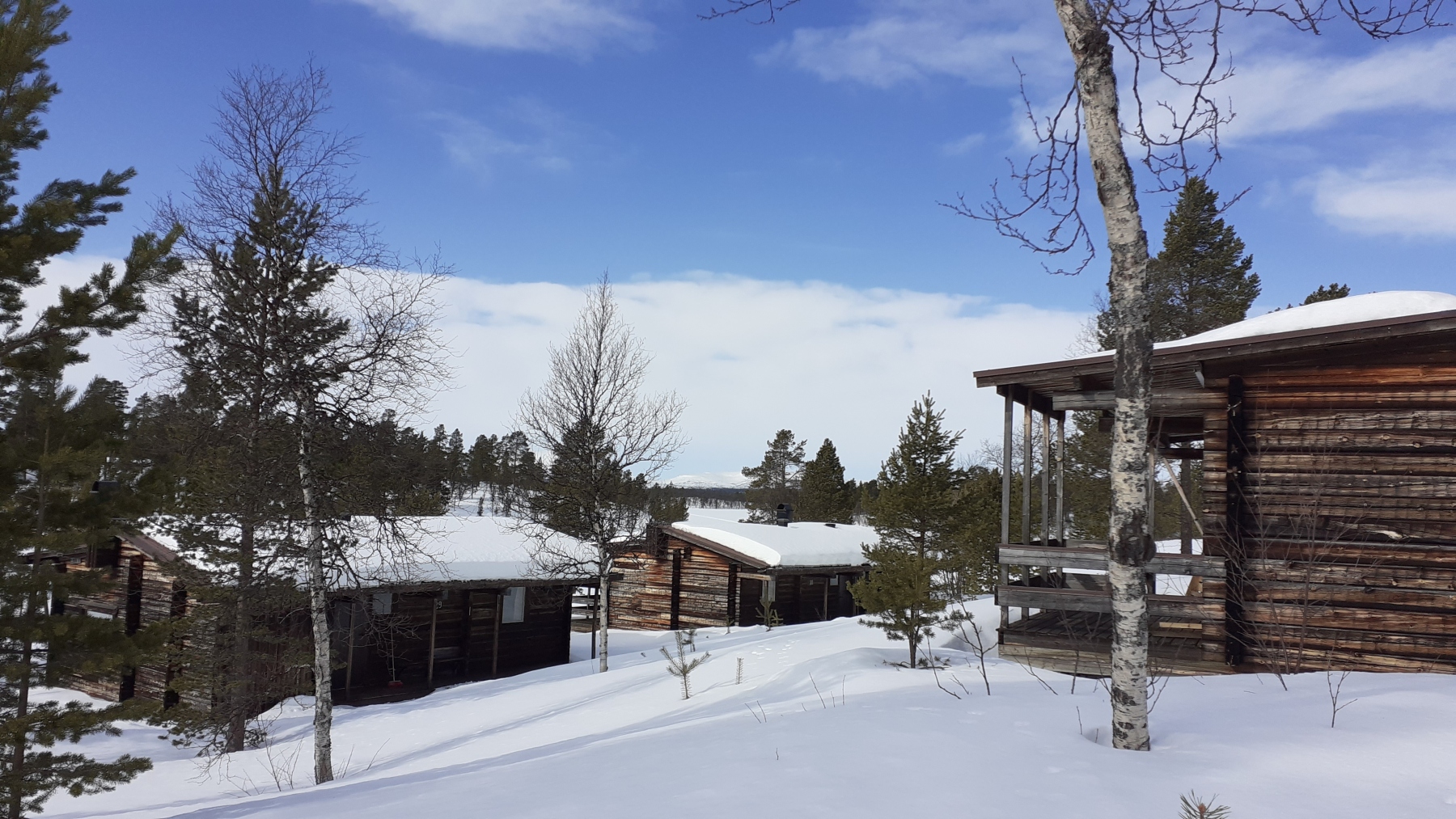 Alla timmerhus är ritade av arkitekten Ralph Erskine