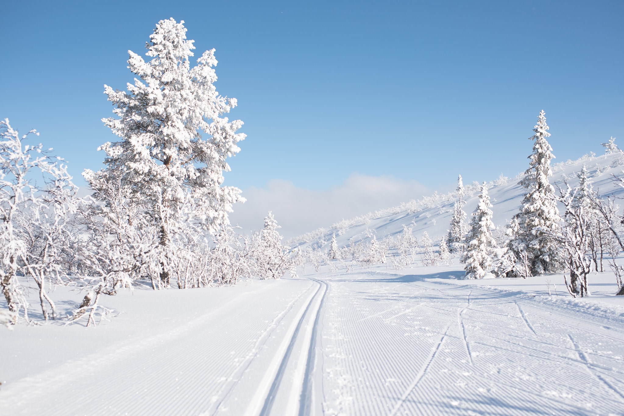 Gå på tur och njut av ett snötäckt fjäll.