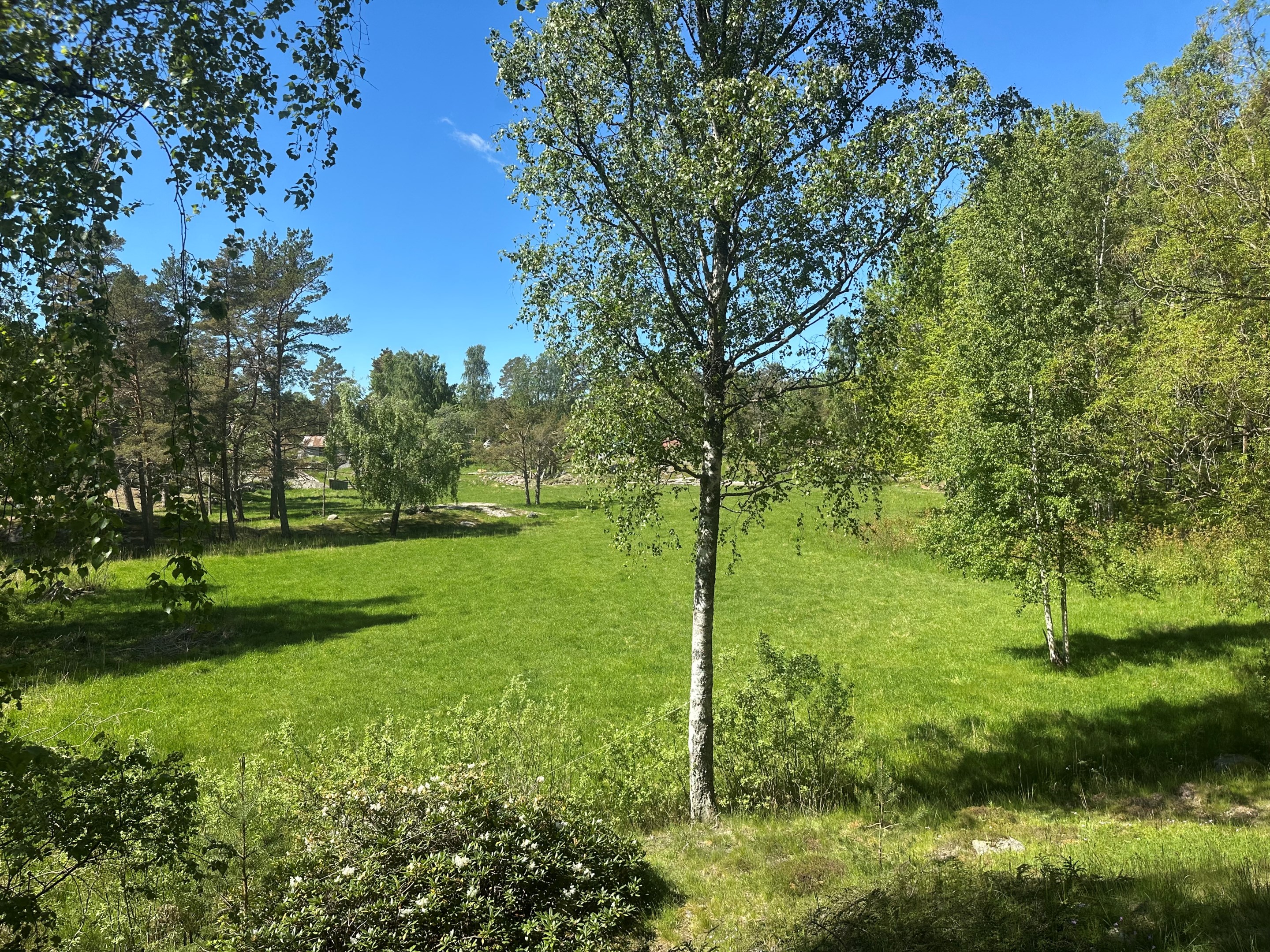 Utsikt mot väster från huset
