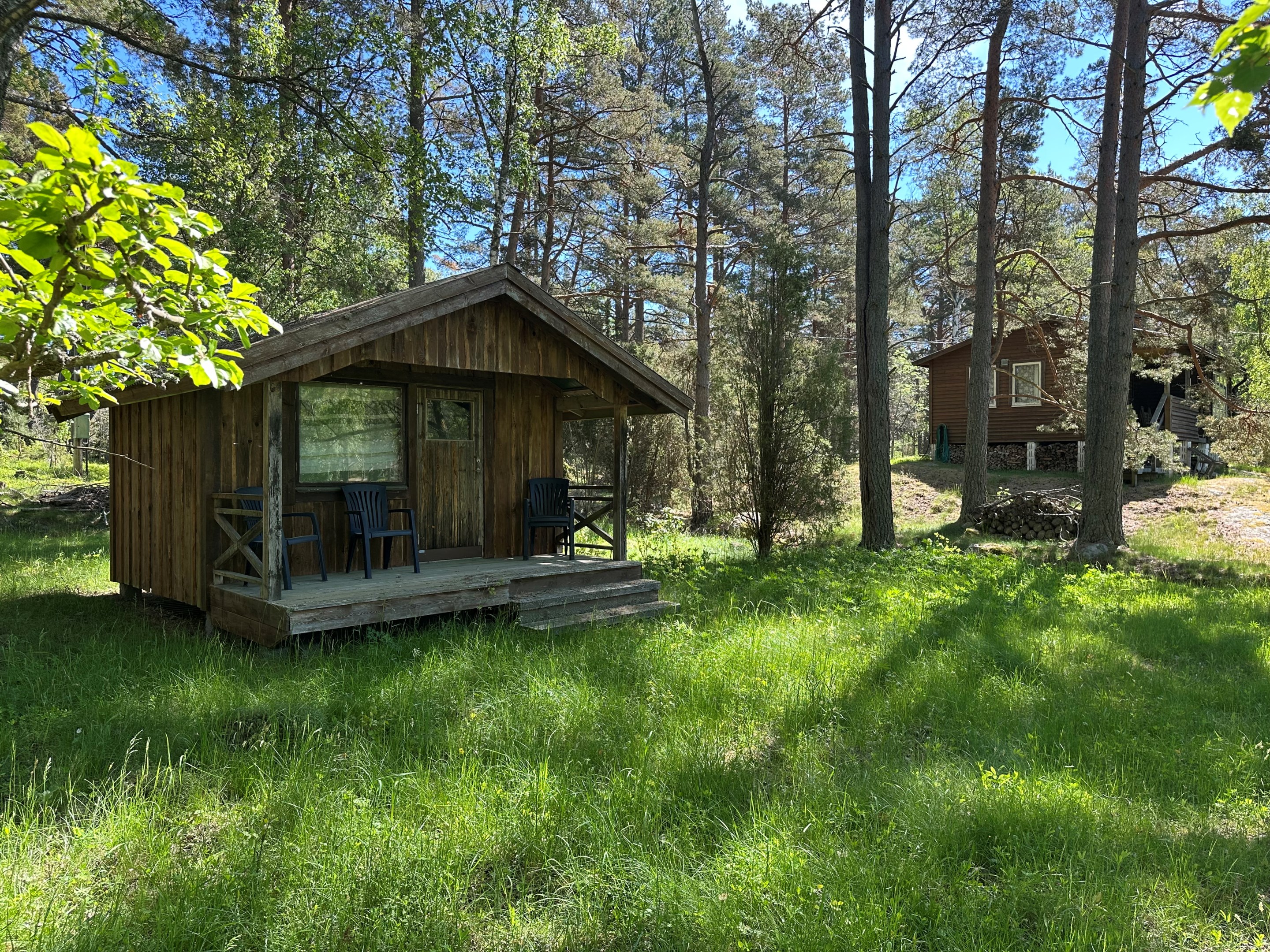 Hus och friggebod är samlade i skogsbrynet i nordost