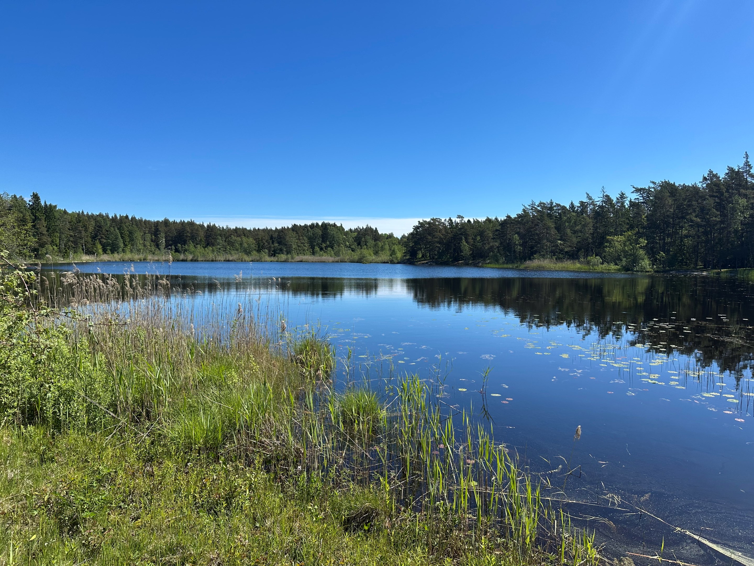 Miljöbild Runmarö