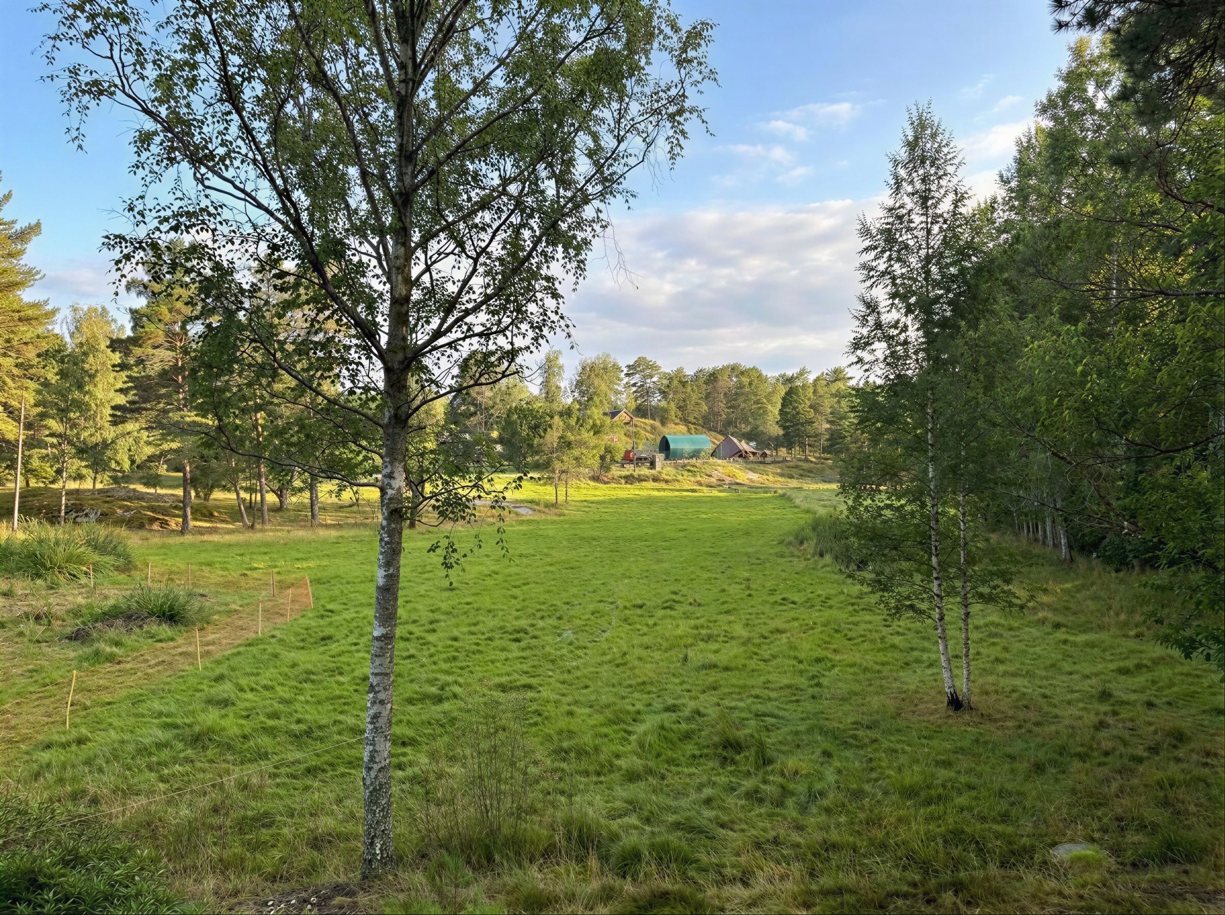 Utsikt från husen mot ängen i väster - AI-genererad sommarbild