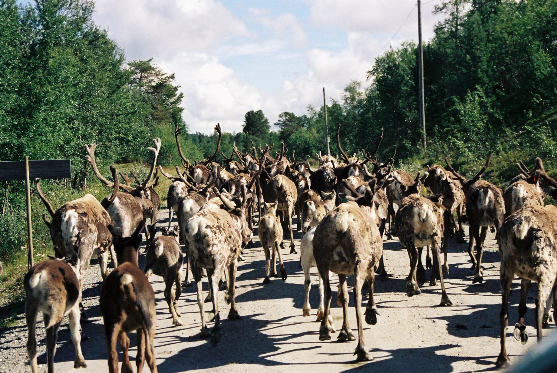 Bostadsbild från Björksoppens väg 2, Till salu i Tännäs, Härjedalen