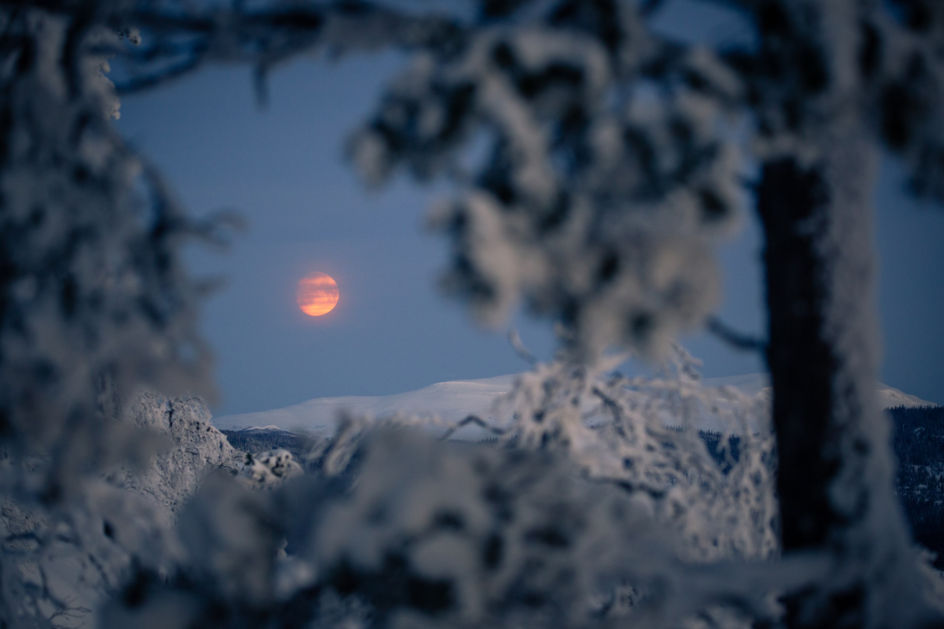 Bostadsbild från Björksoppens väg 2, Till salu i Tännäs, Härjedalen