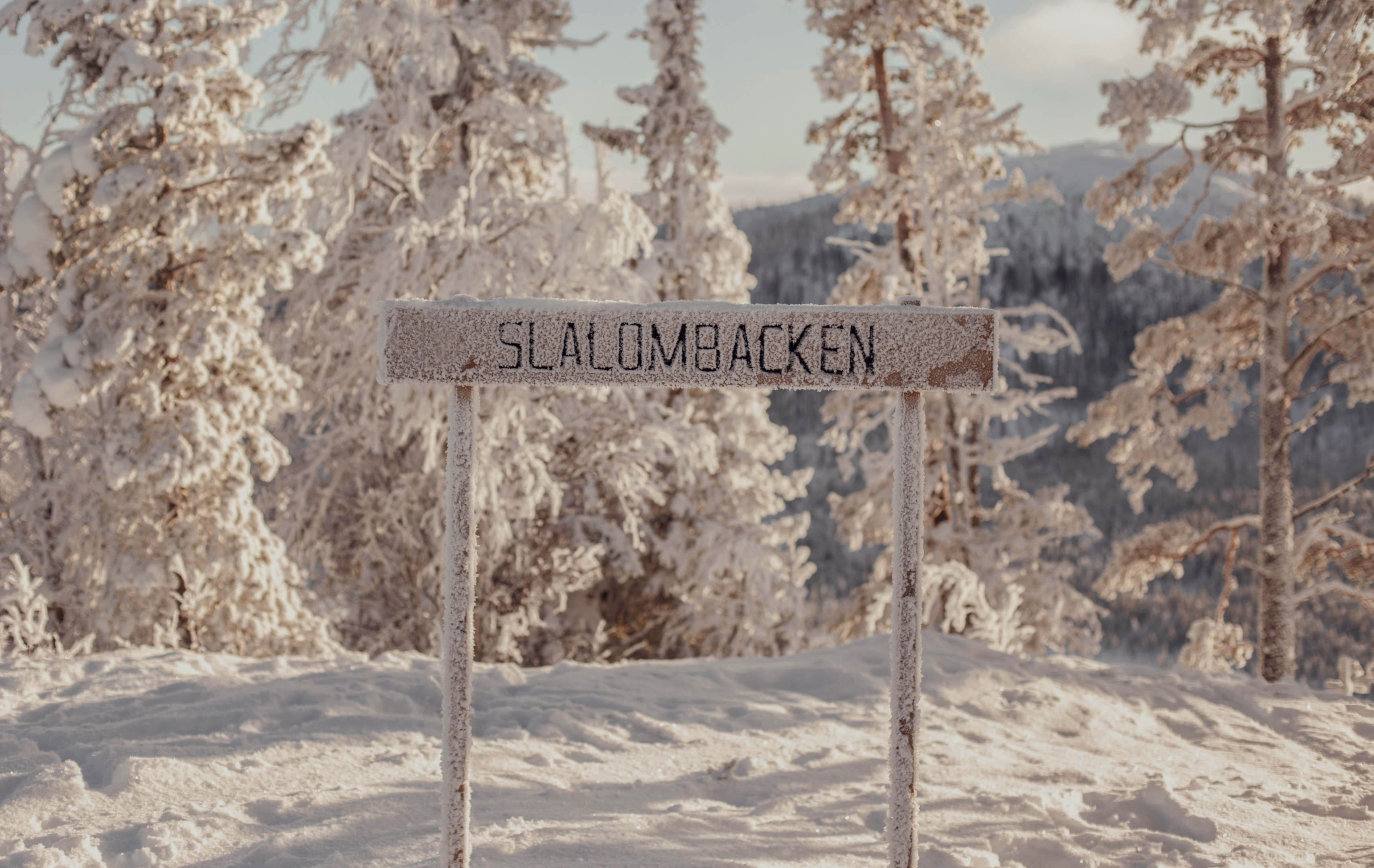 Bostadsbild från Björksoppens väg 2, Till salu i Tännäs, Härjedalen