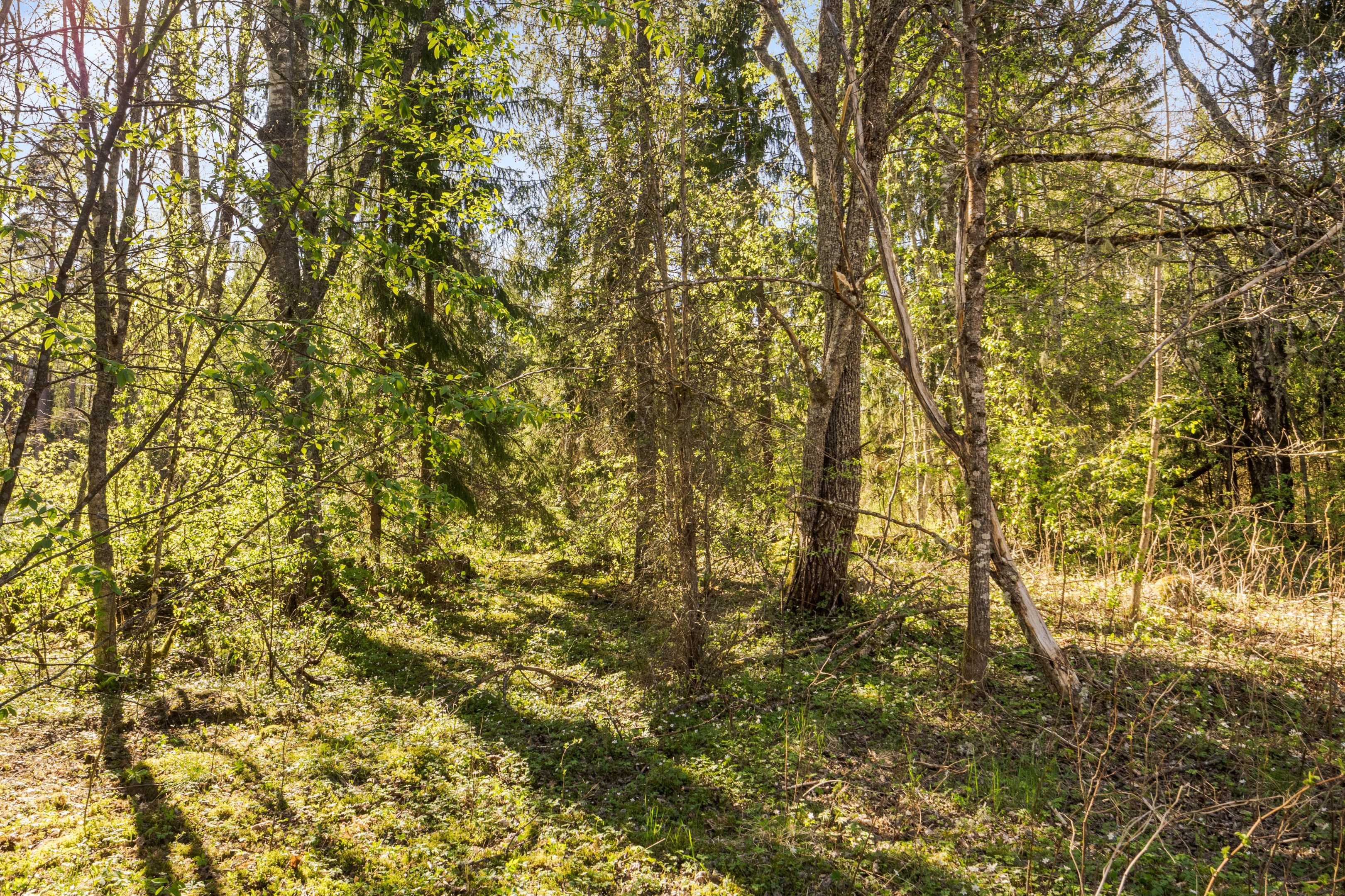 Bostadsbild från Norrål 105, Såld i Sala, Sala