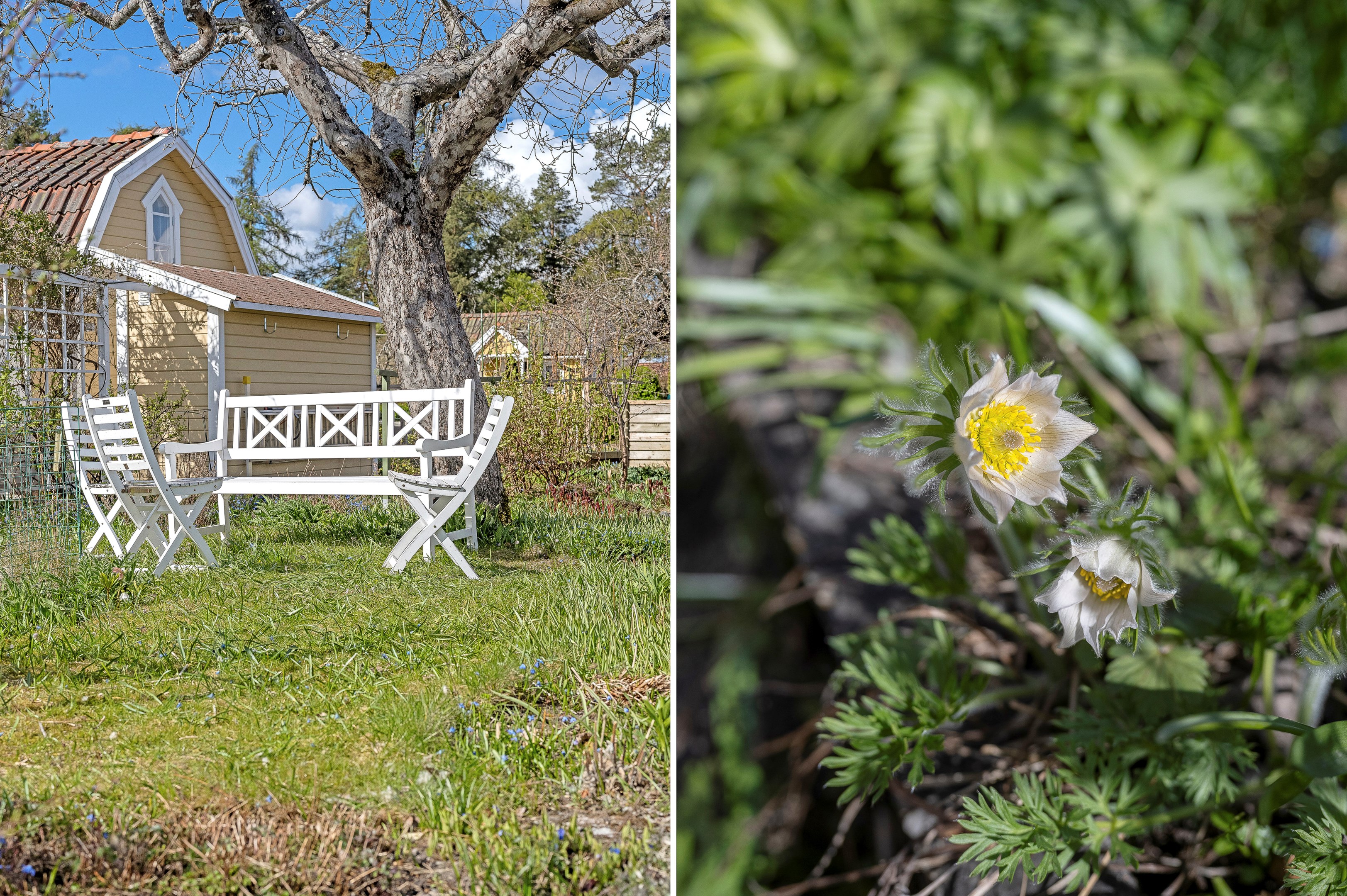 Bostadsbild från Floravägen 14, Till salu i Fålhagen, Uppsala