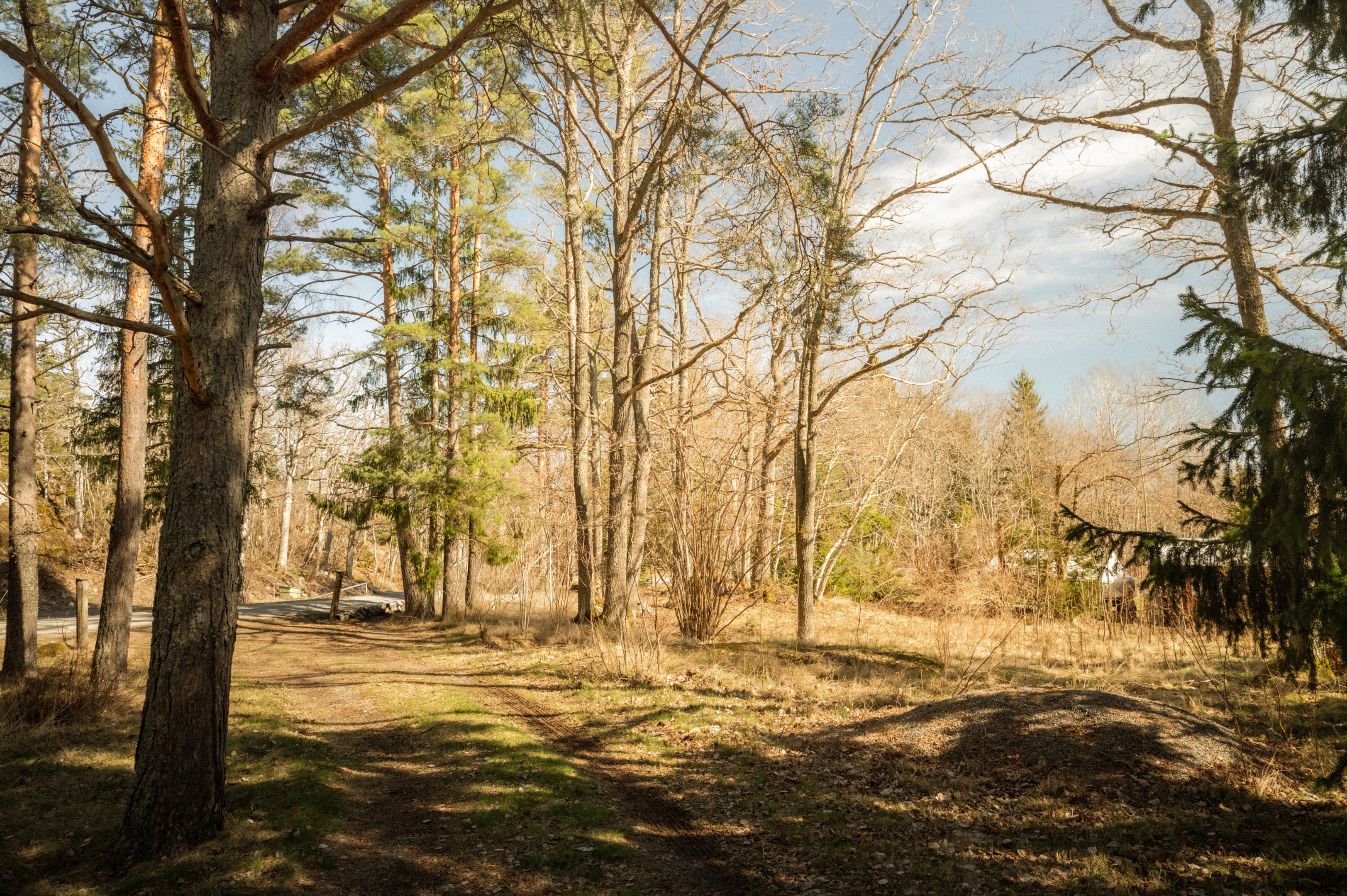 Del av tomten vid infarten