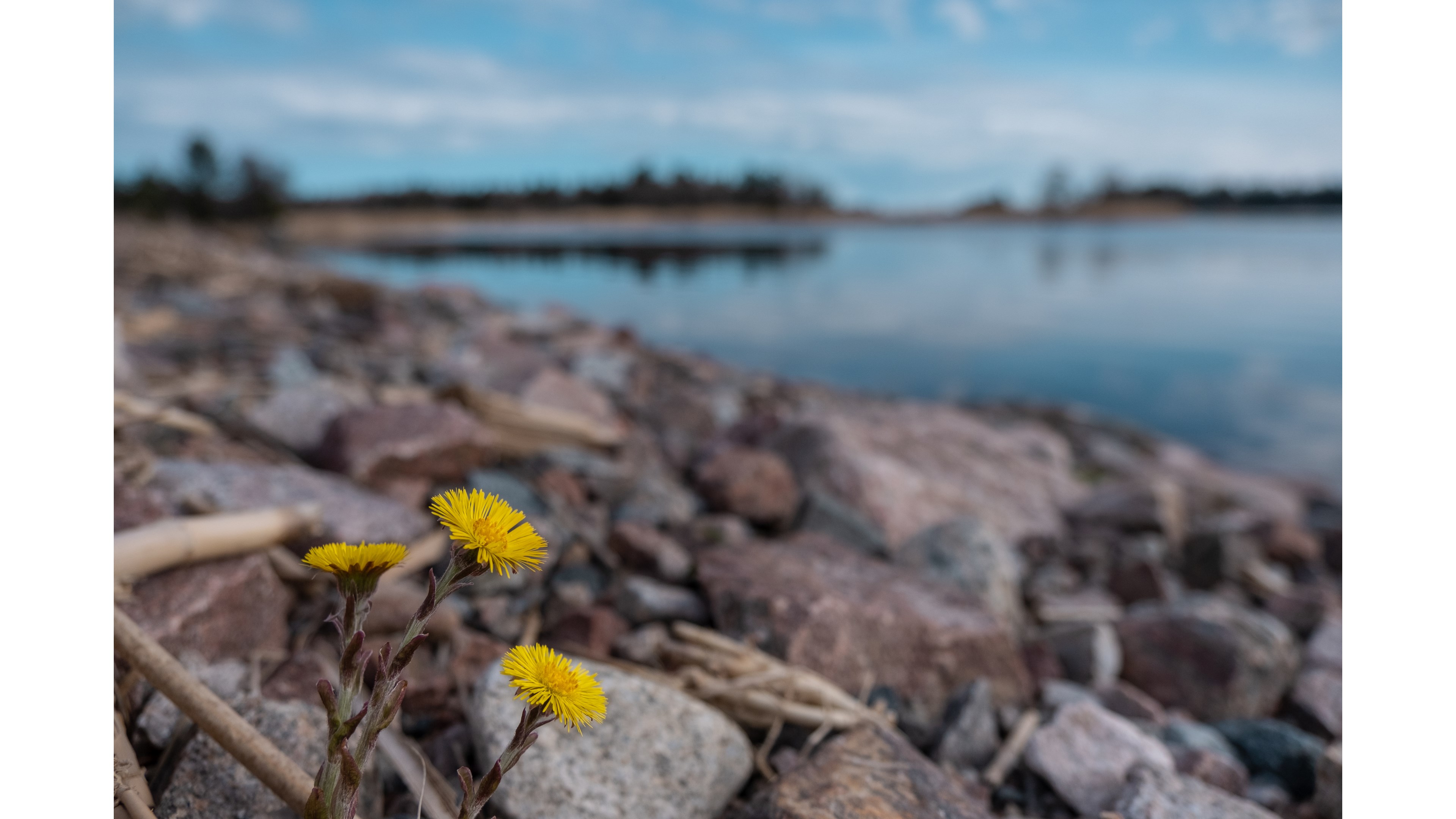 Bostadsbild från Karlholm Strand, Slutsålt i Karlholm, Tierp