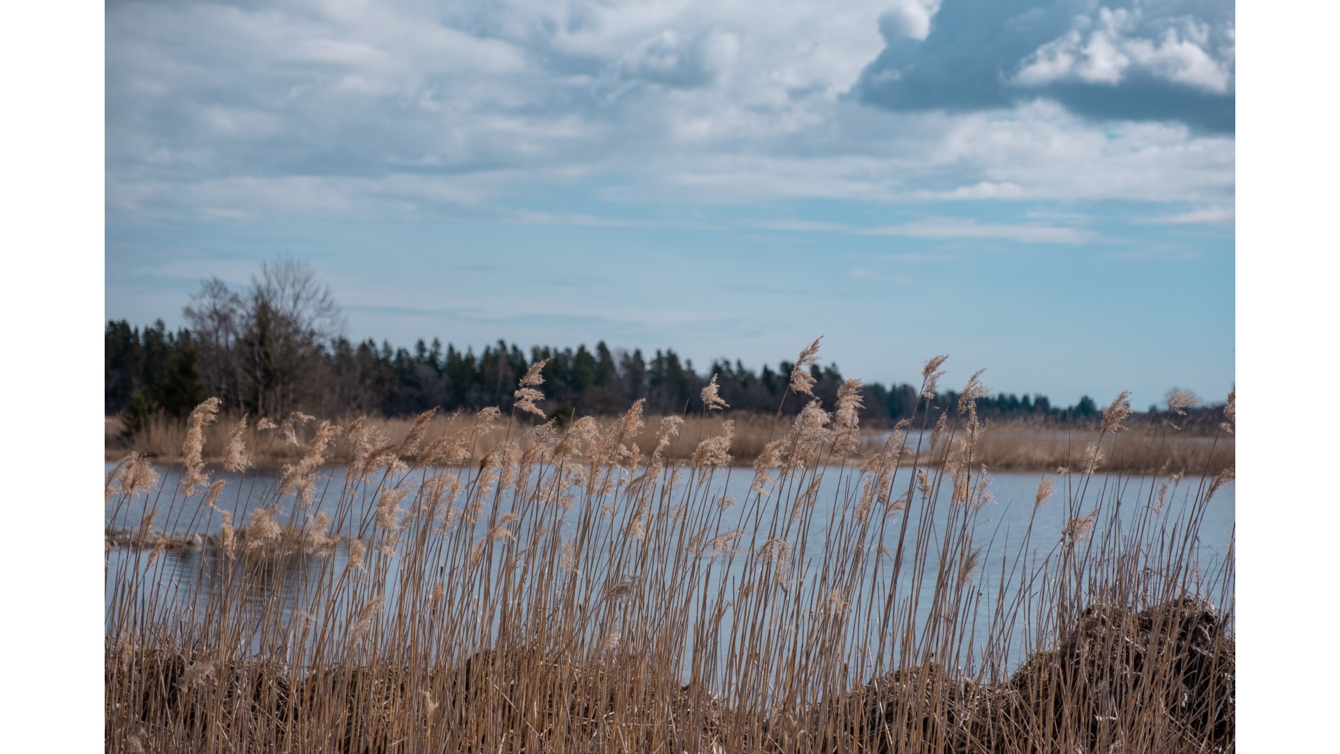 Bostadsbild från Karlholm Strand, Slutsålt i Karlholm, Tierp