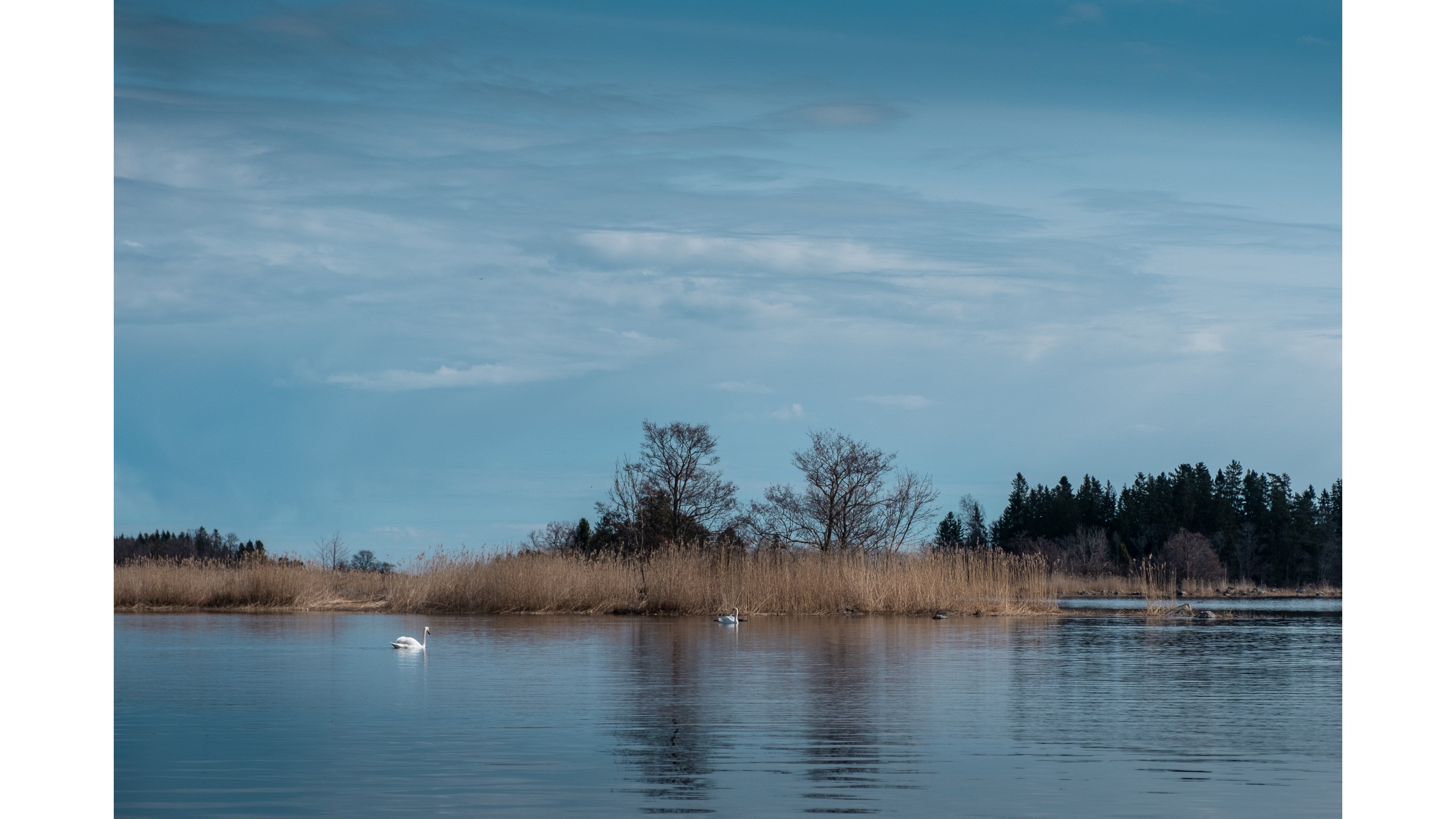 Bostadsbild från Karlholm Strand, Slutsålt i Karlholm, Tierp