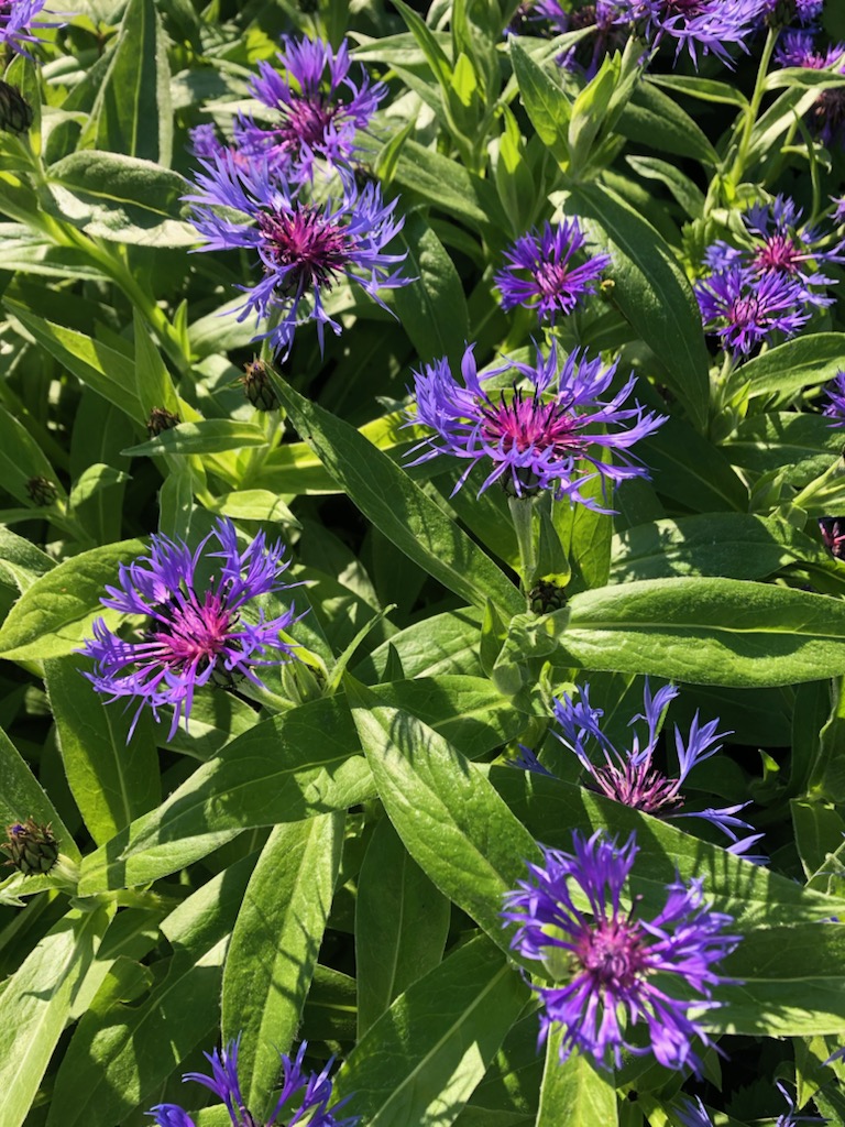 Bostadsbild från Ektorpsvägen 38, Såld i Skuru, Nacka